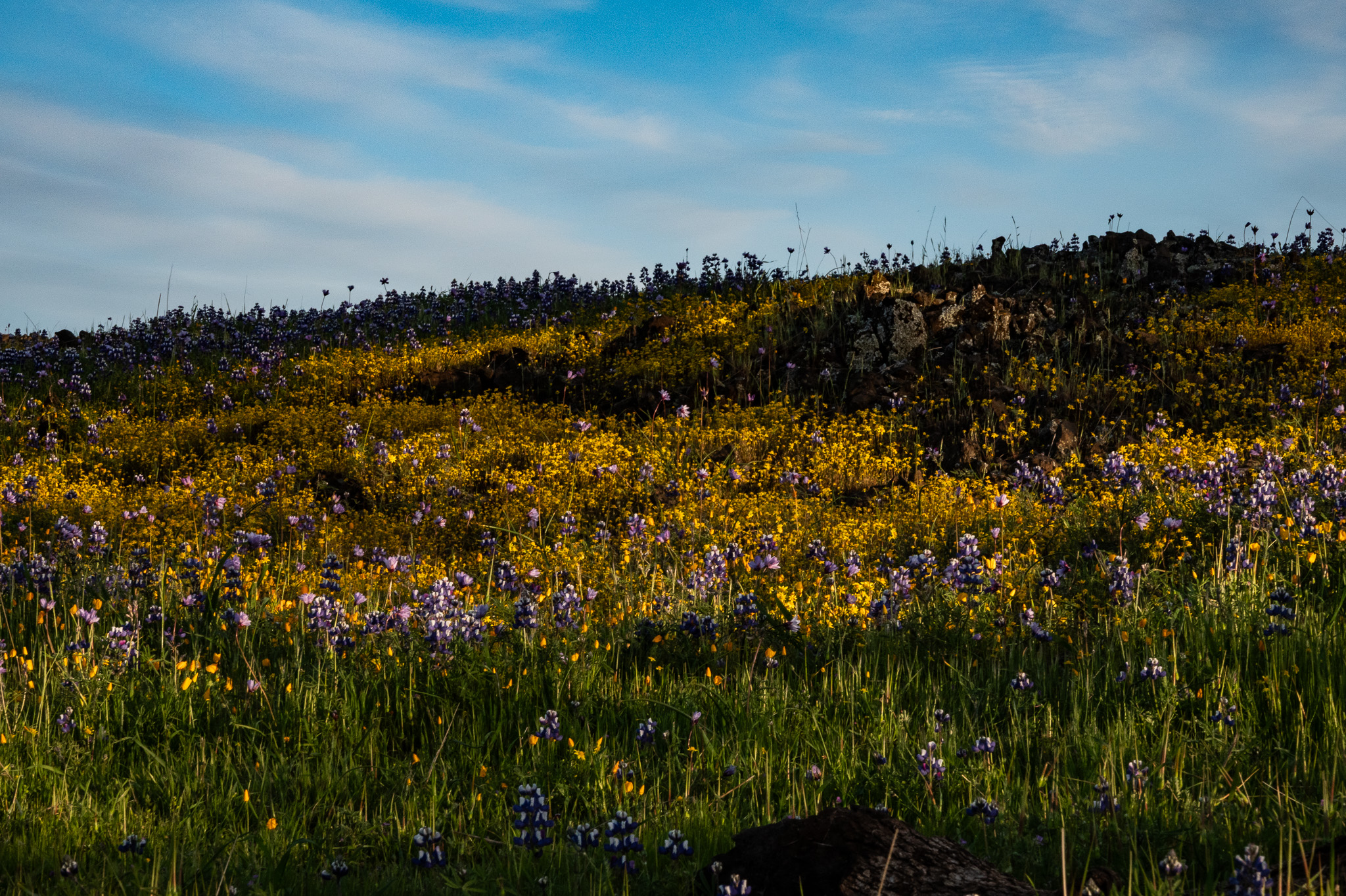 Listing Image 68