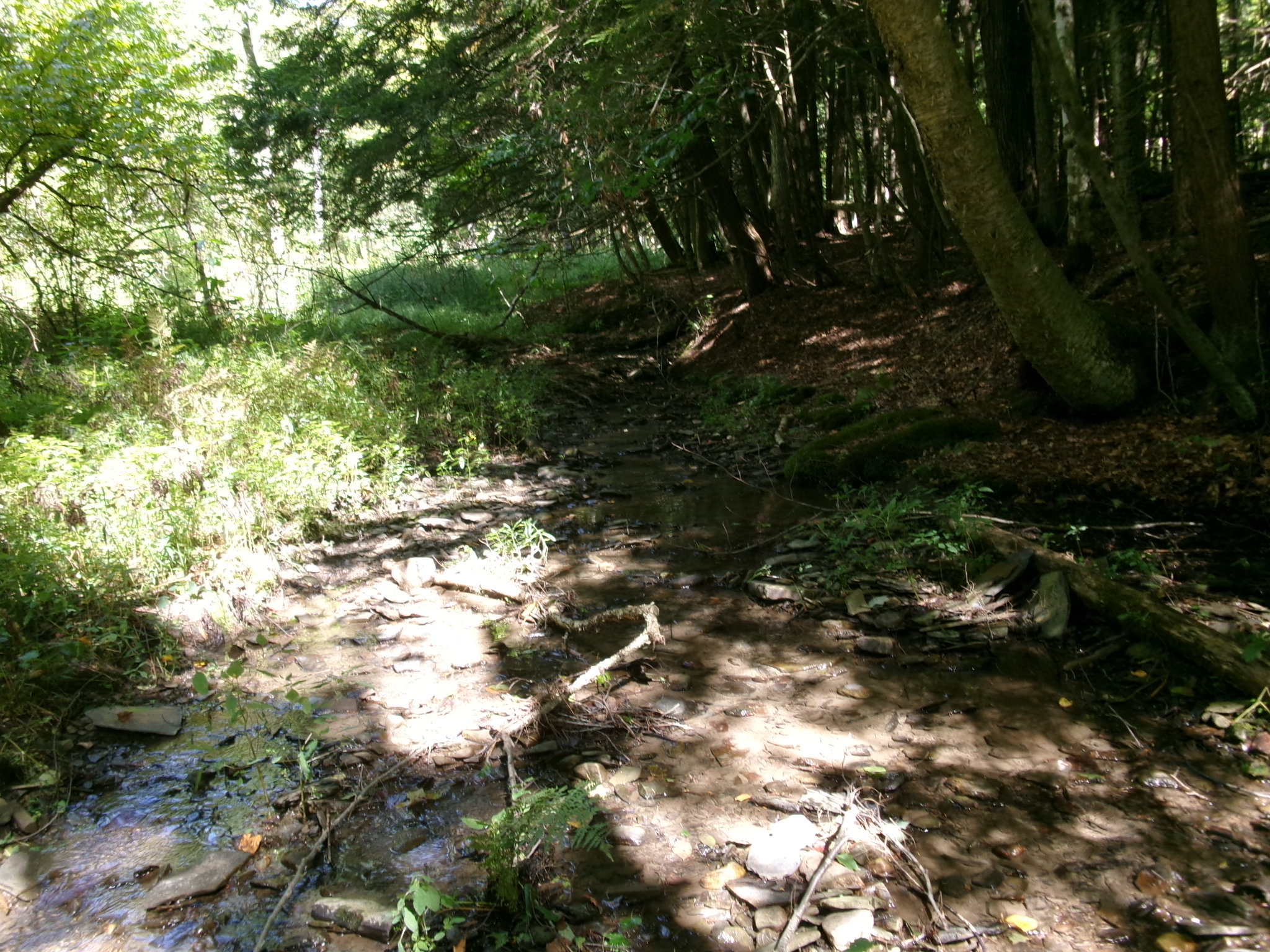 Listing Image 8