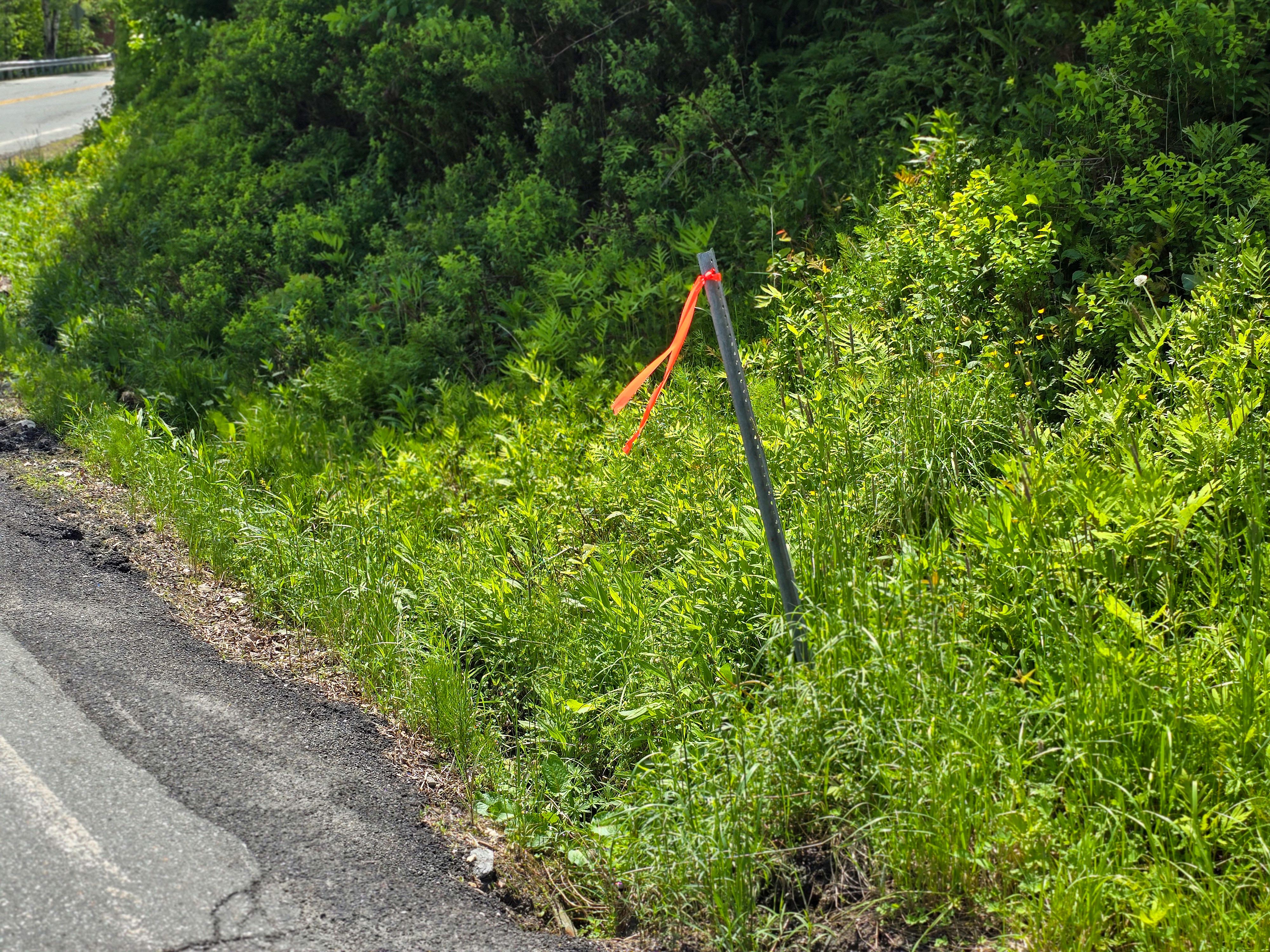 150 Spur Rd - Bloomfield