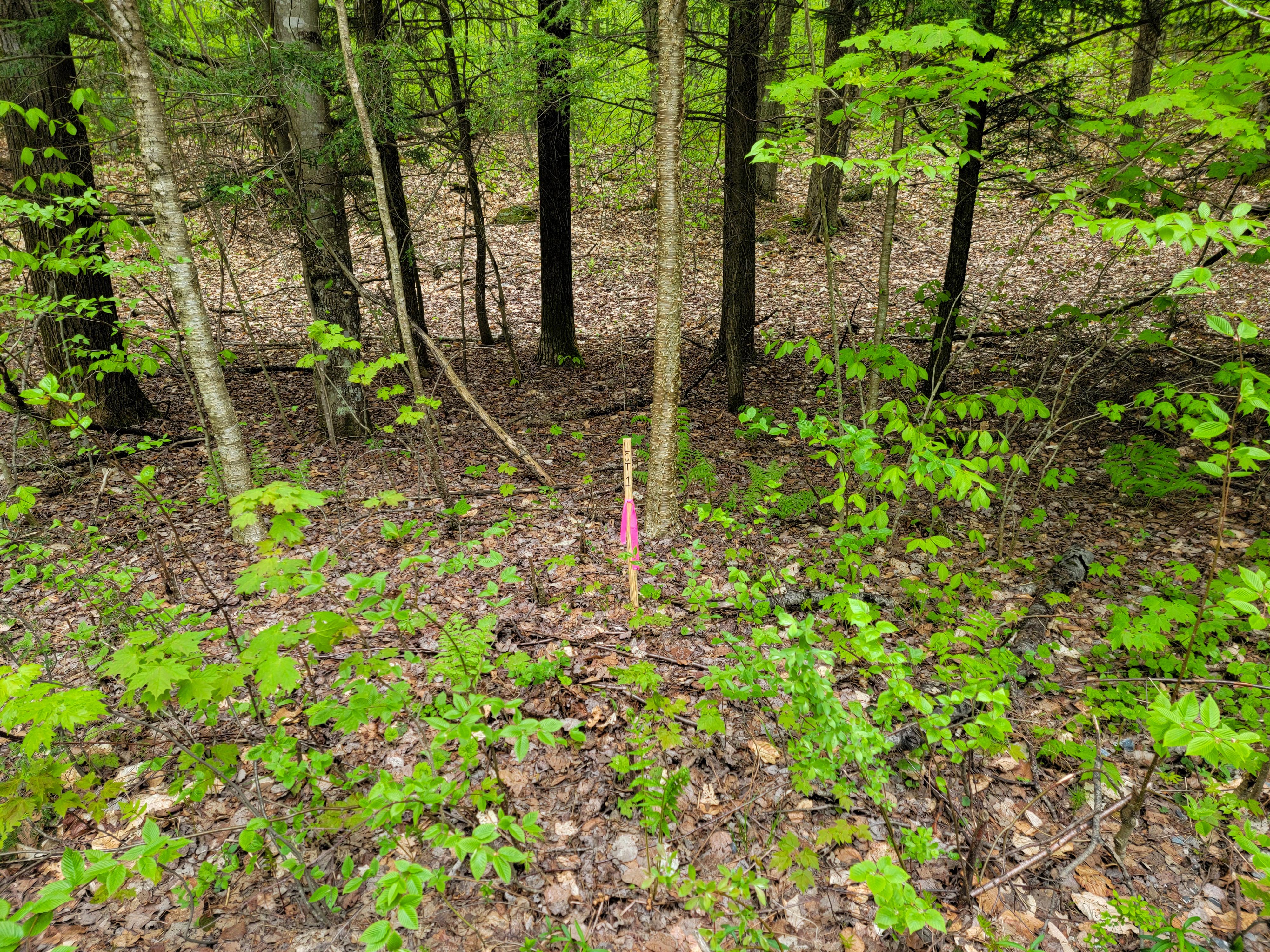 Listing Image 14