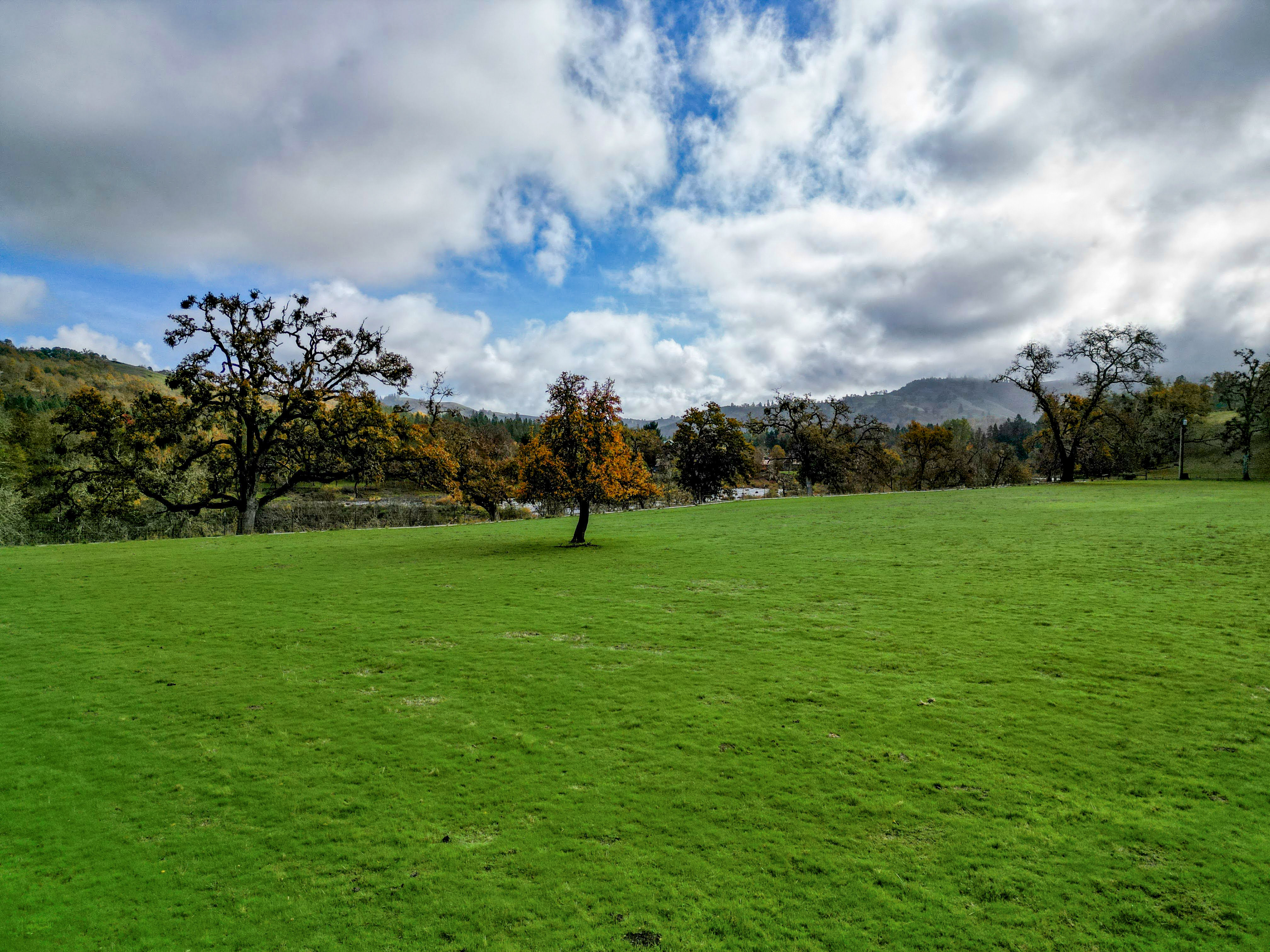 Carlin Ranch - Historical Listing