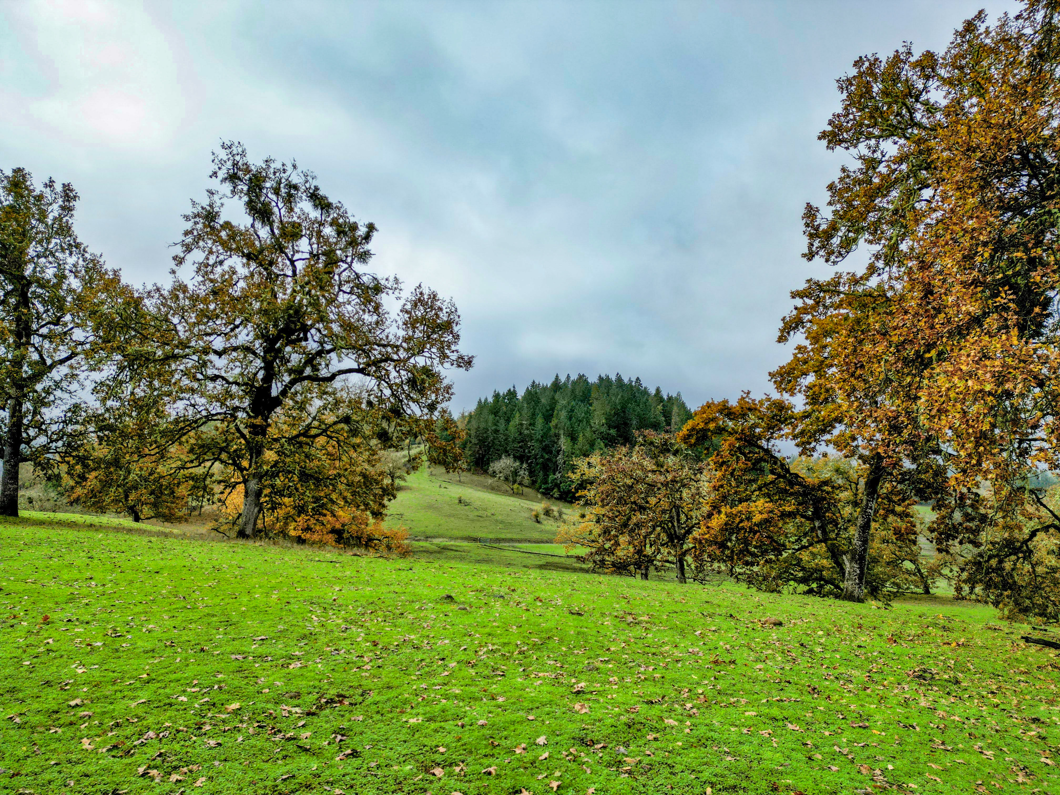 Carlin Ranch - Historical Listing