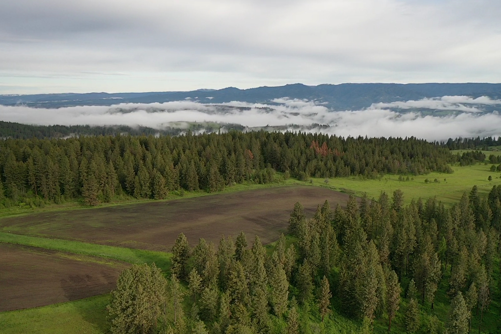 Buford Ridge Ranch
