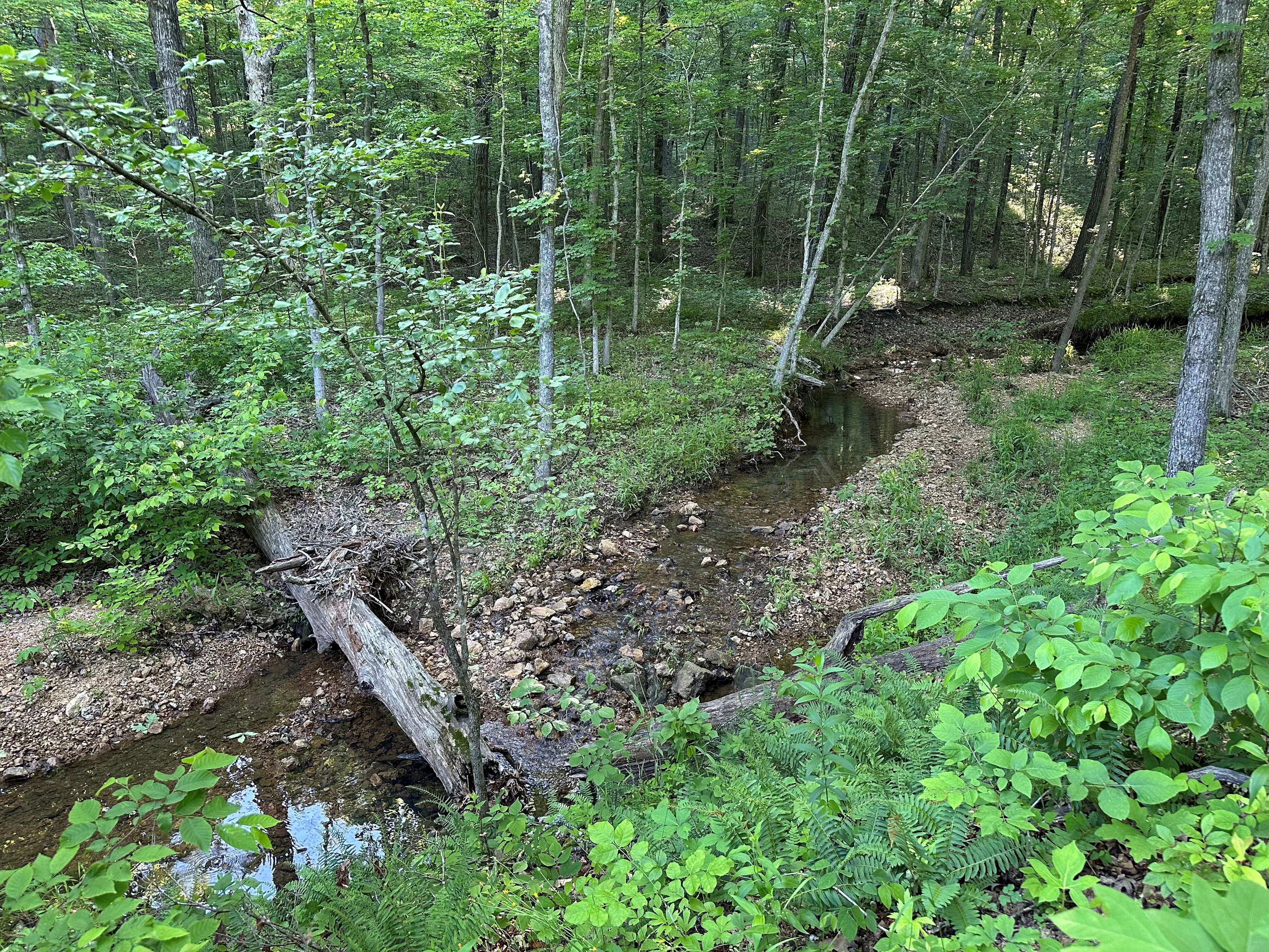 Mill Rock Creek 70