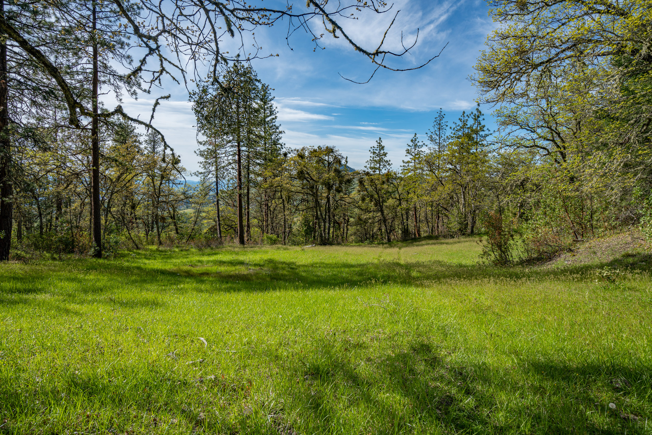 Mount Baldy Ranch