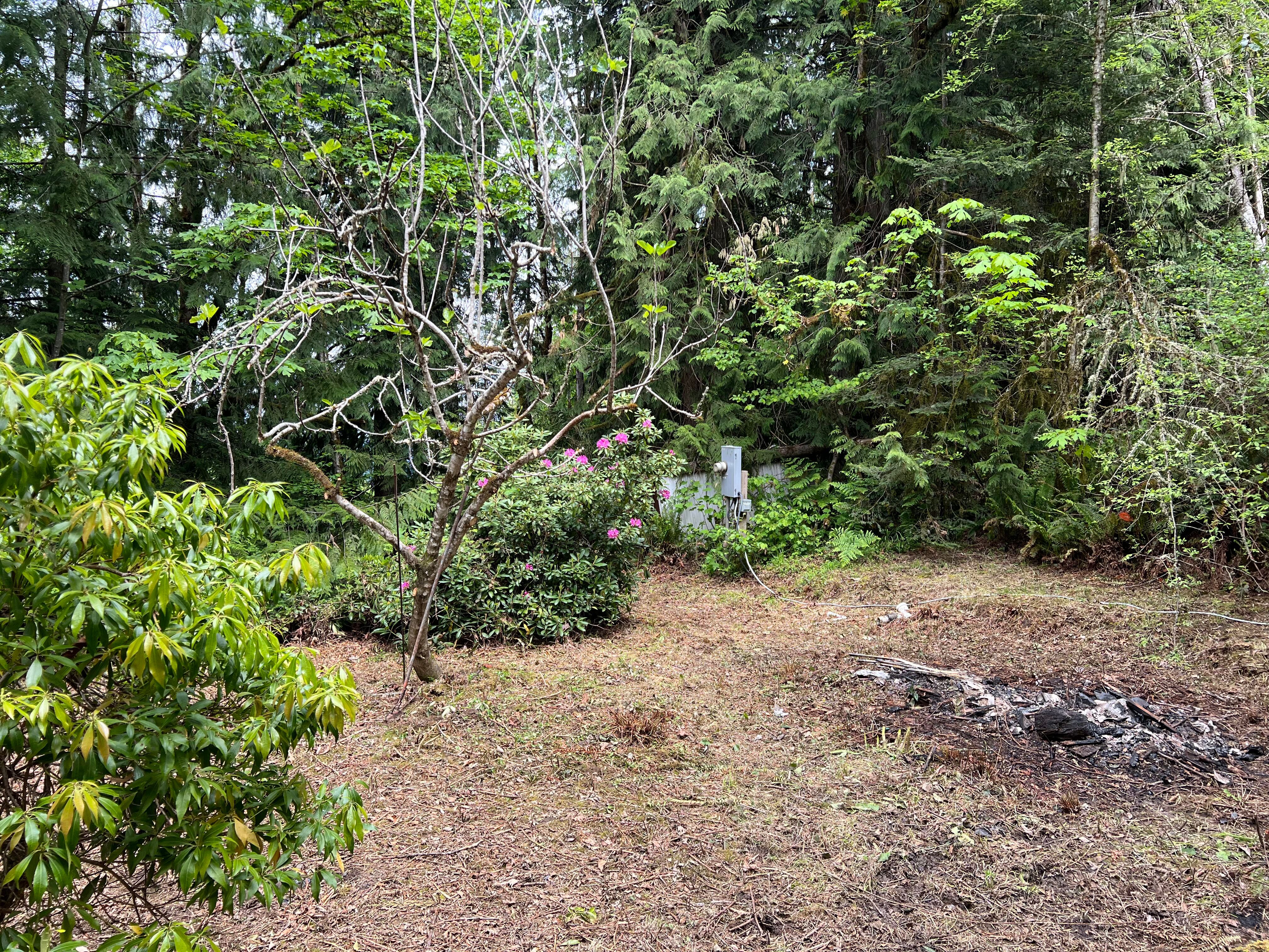 83715 Peninsula Rd Fall Creek OR