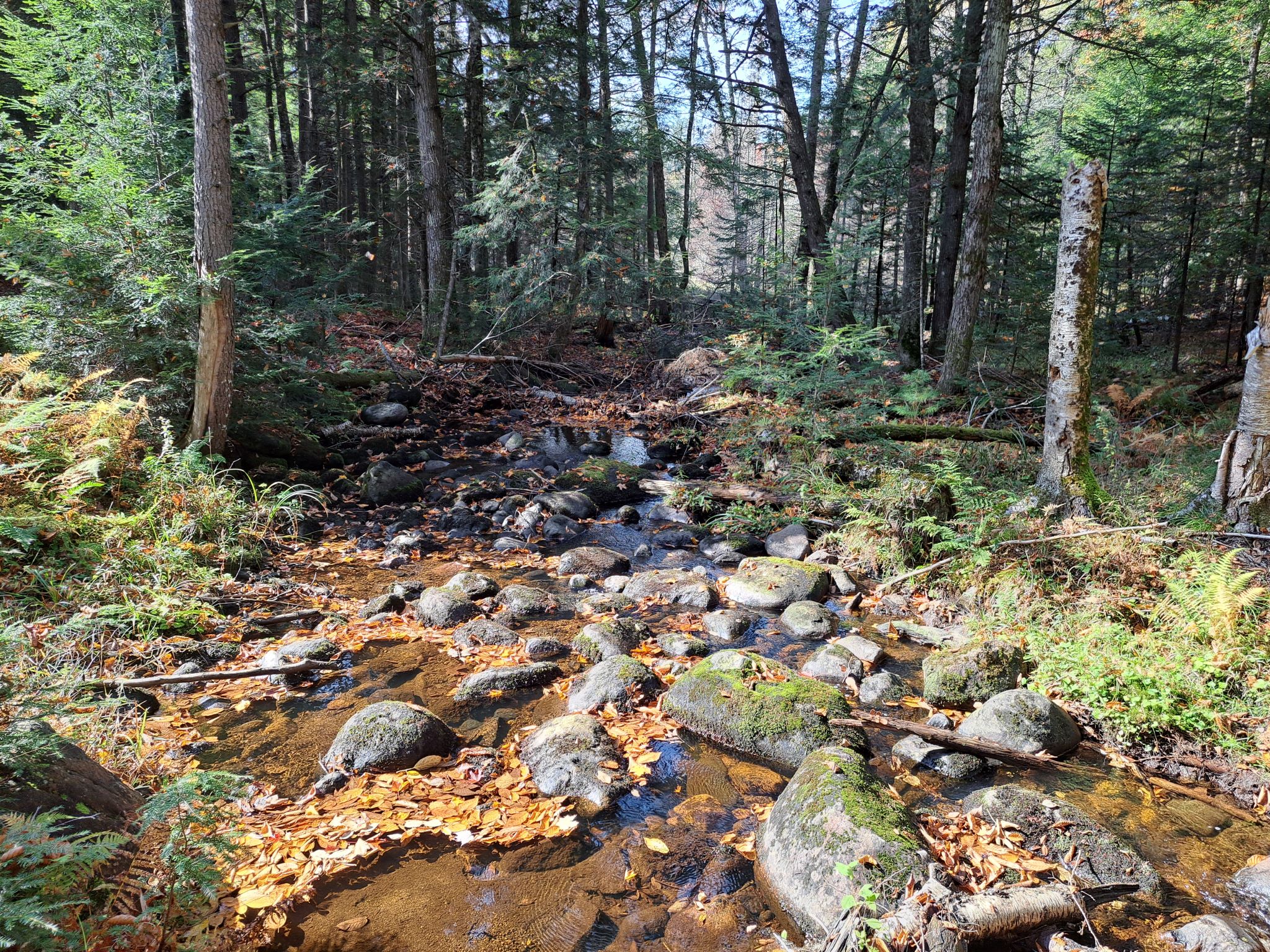 Listing Image 66