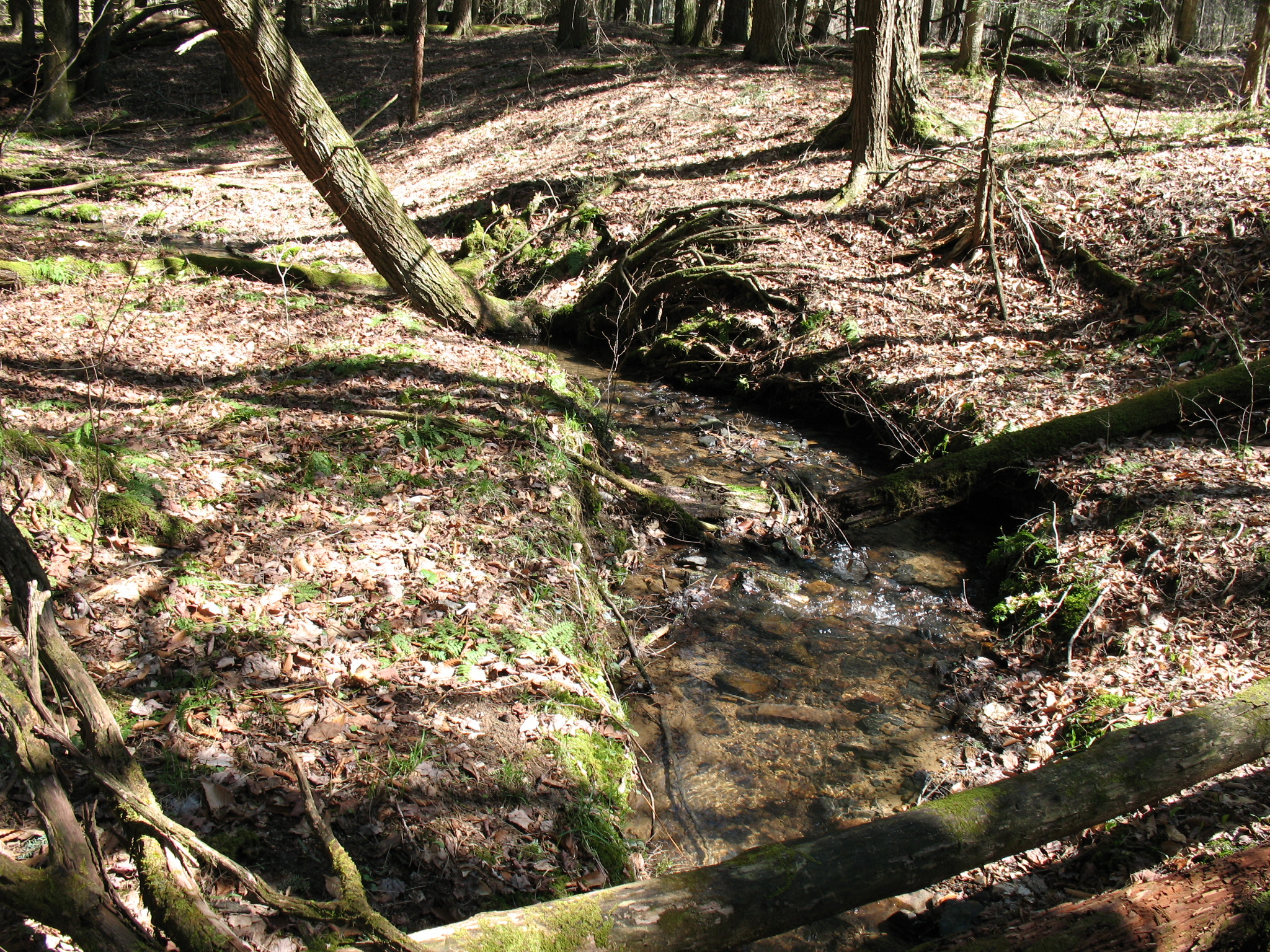 Listing Image 17