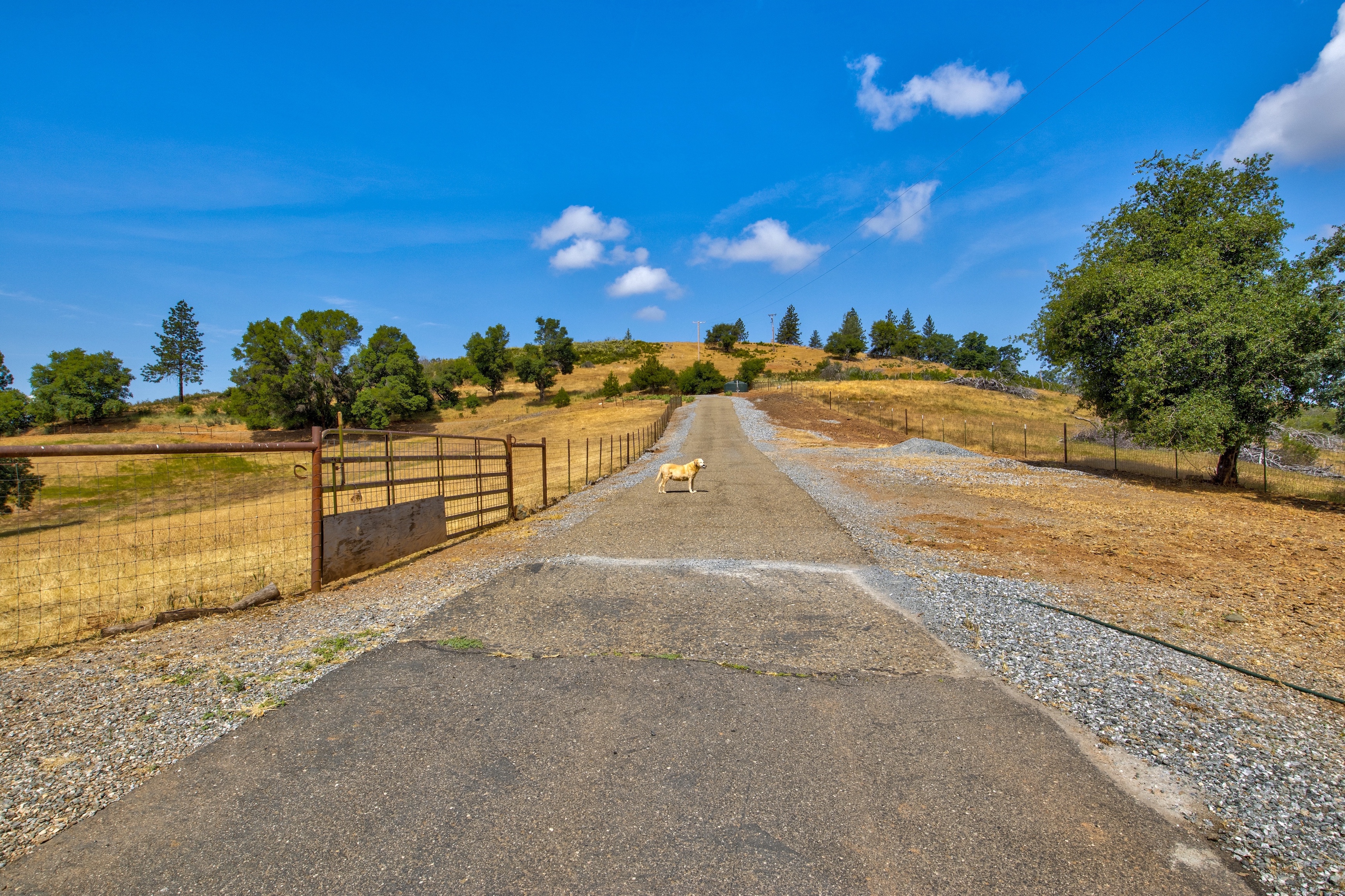 Spear B Ranch