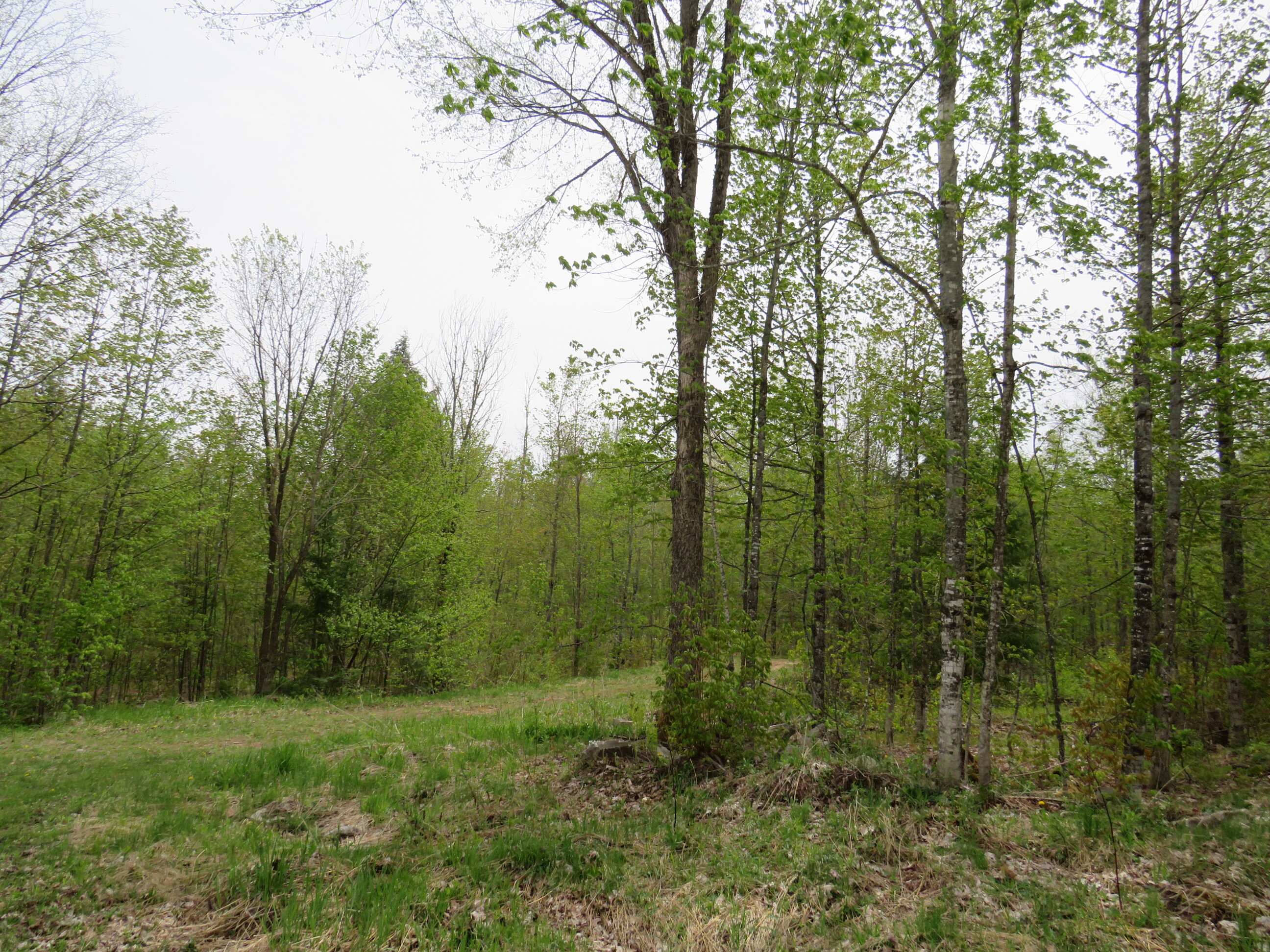 Michigan Recreational Property 50165363