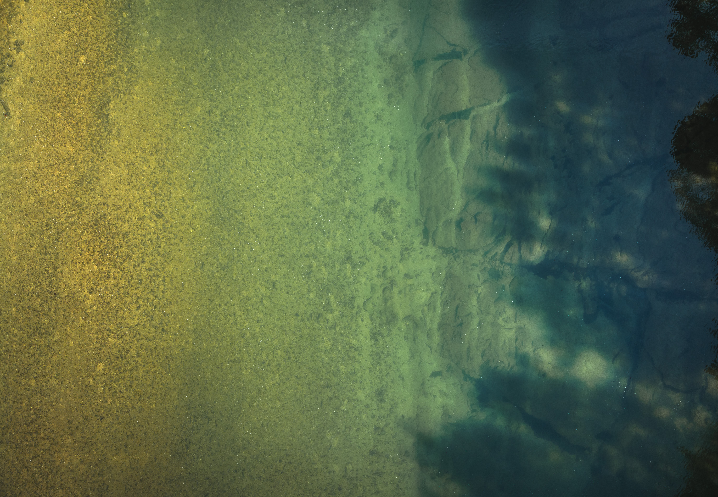 Listing Image 72