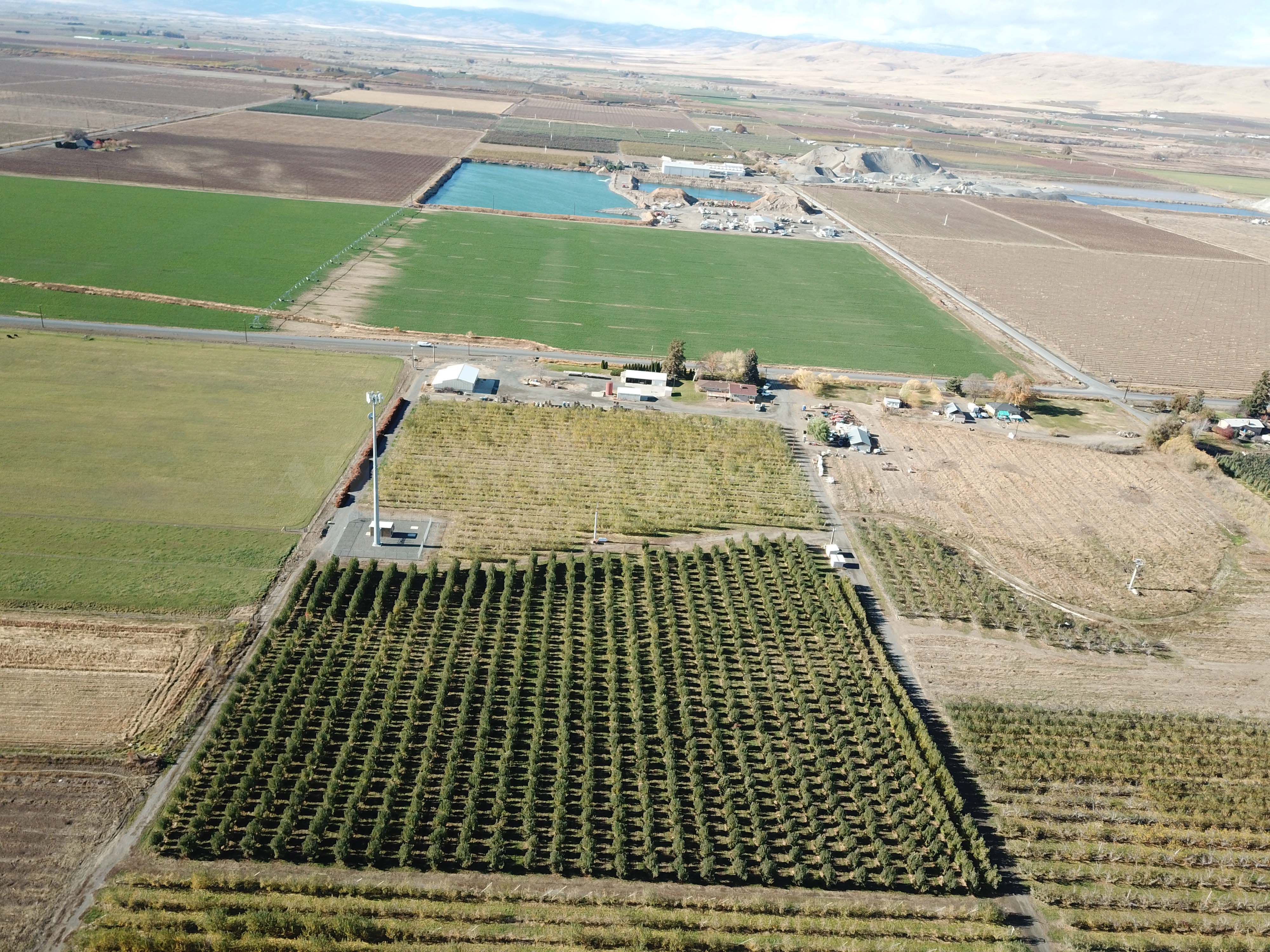 Apple Orchard w Equipment, House and Shops!