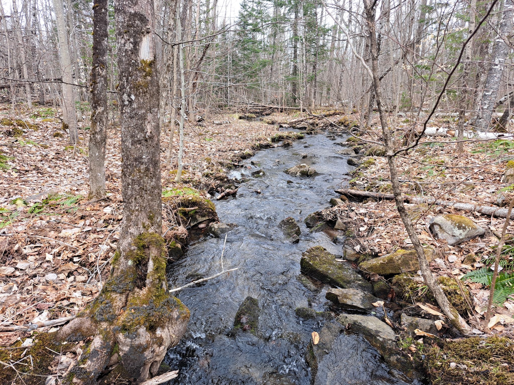 Listing Image 59