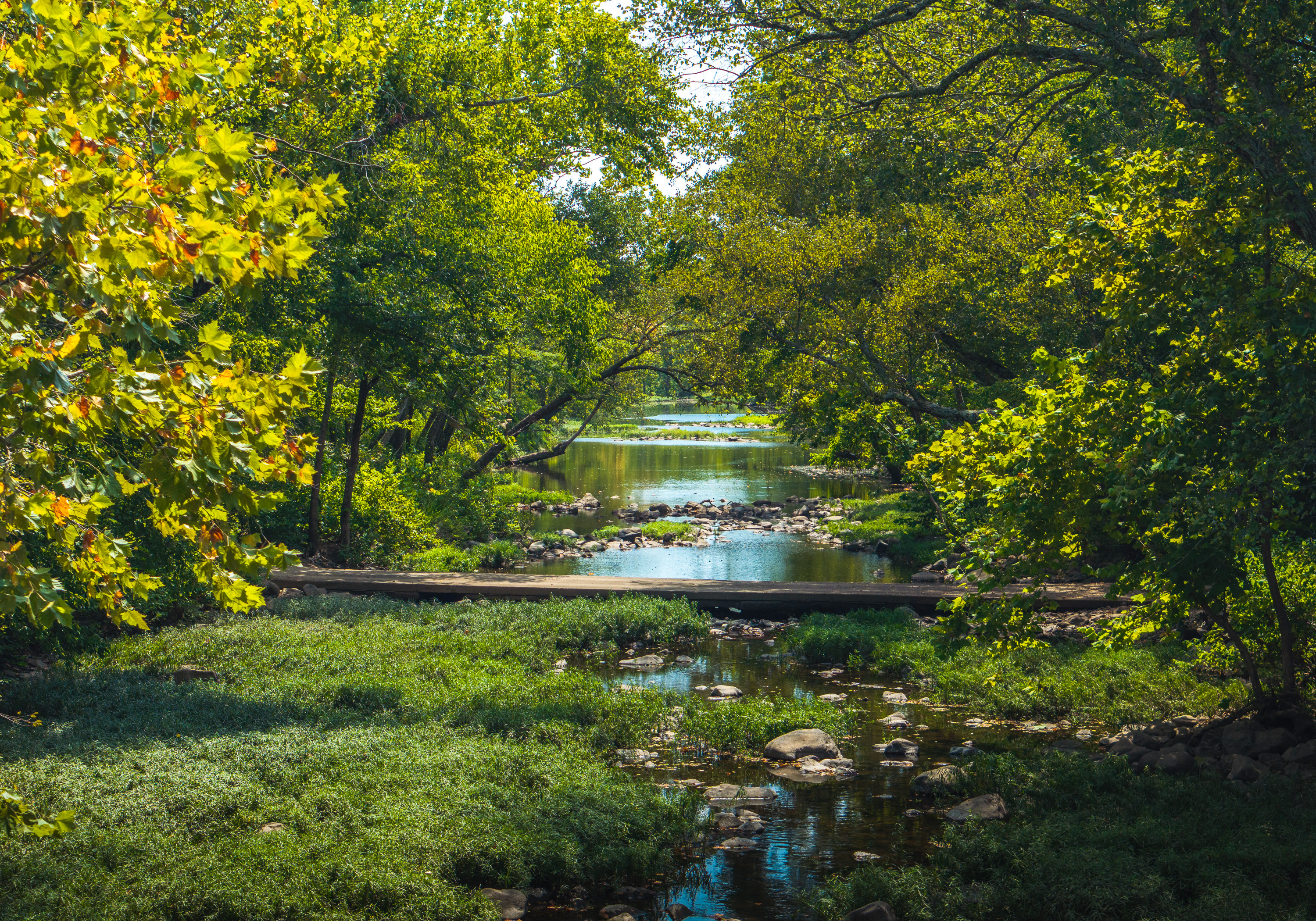420 Acre Farm on Stouts Creek