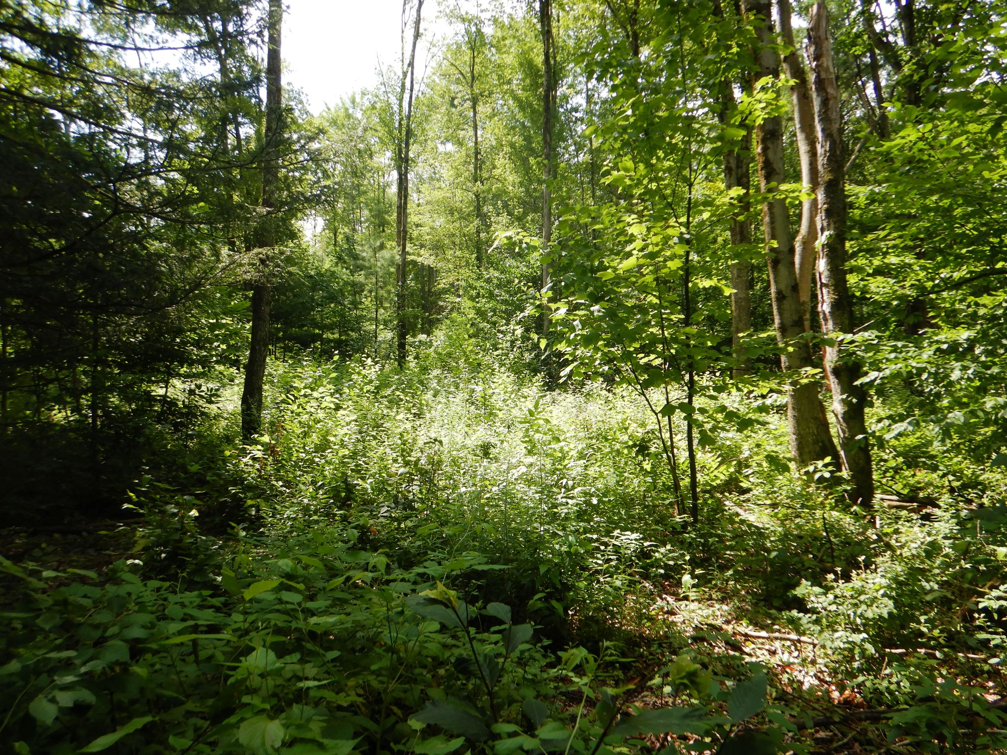 Listing Image 24
