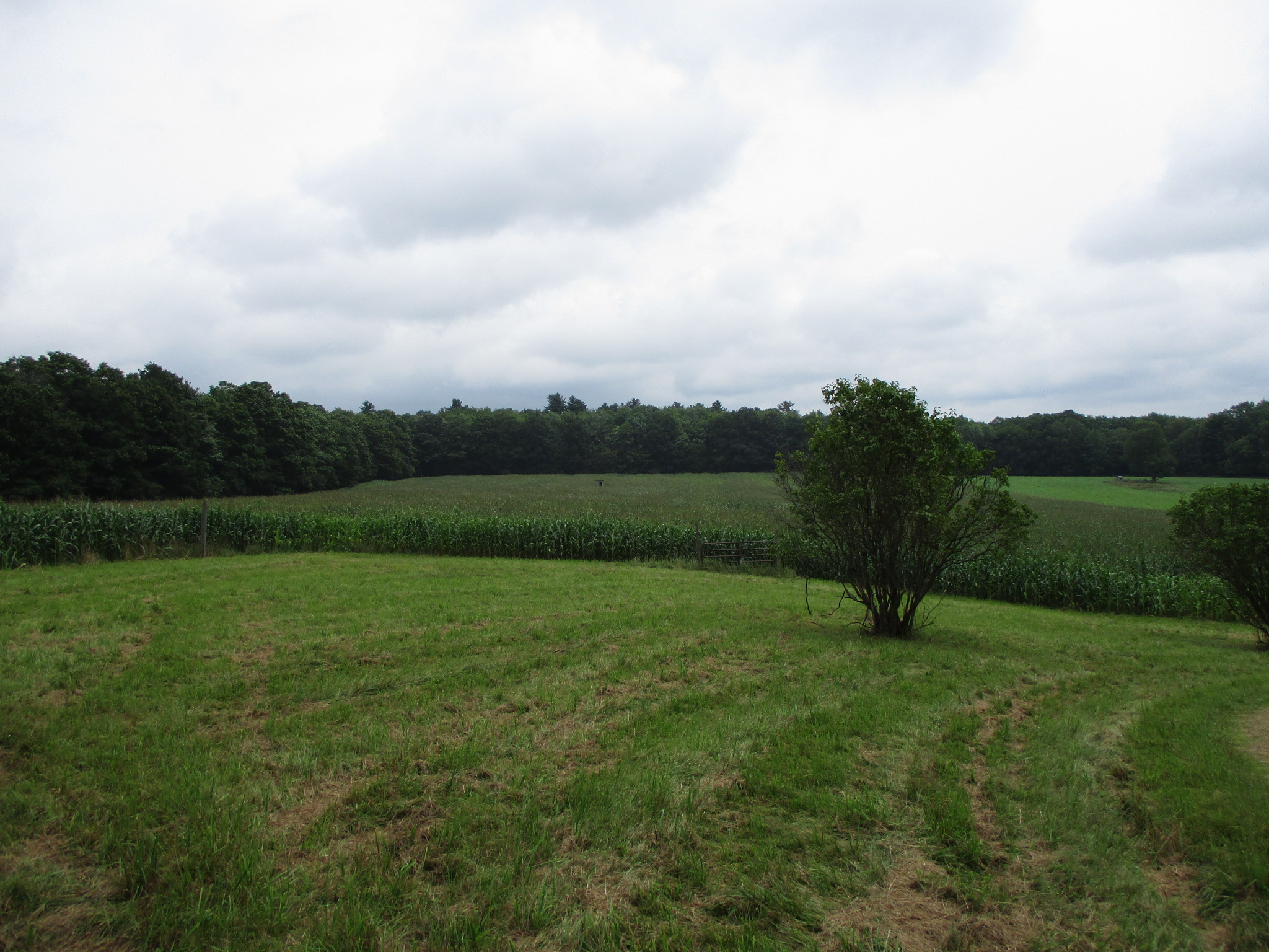 Listing Image 31