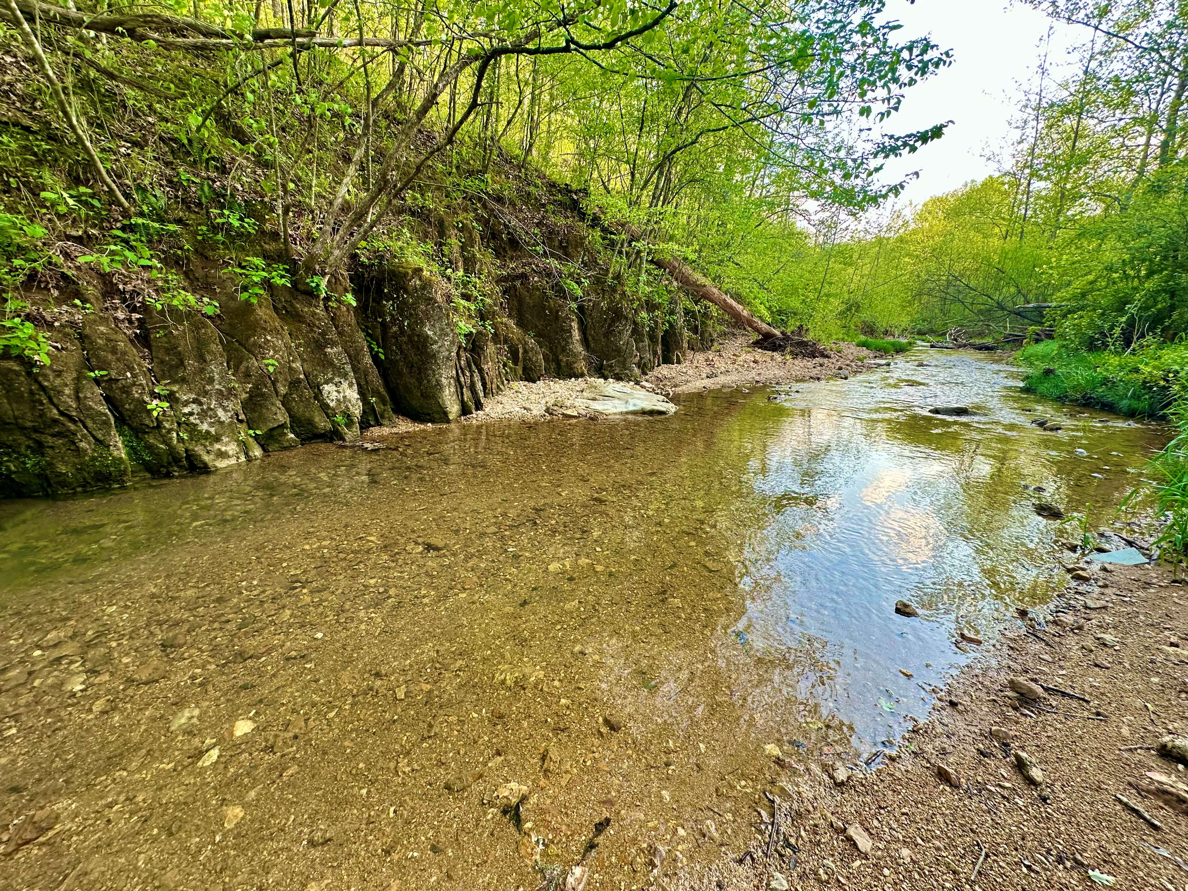 Wash Creek Retreat