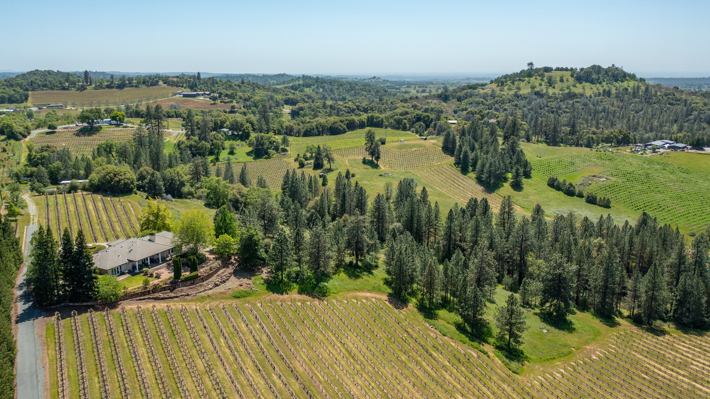 Listing Image 82