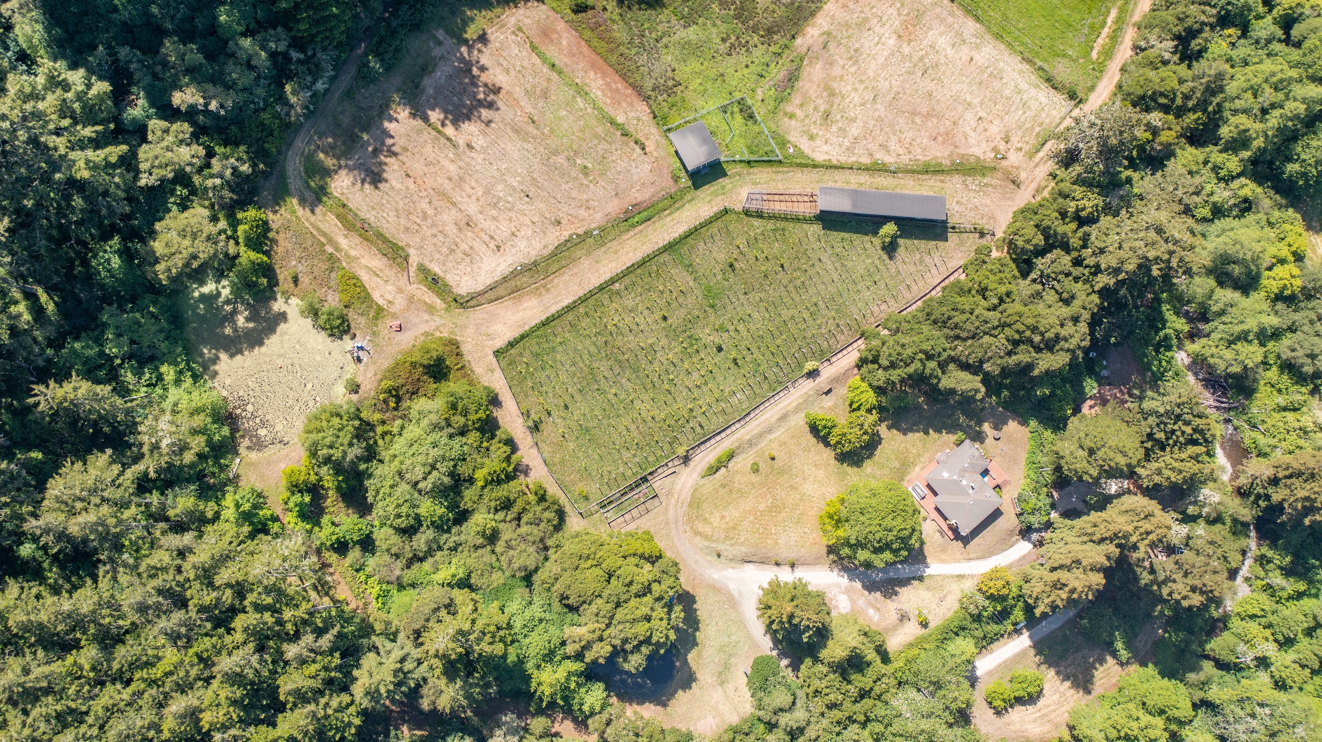 San Gregorio Creekside Farm
