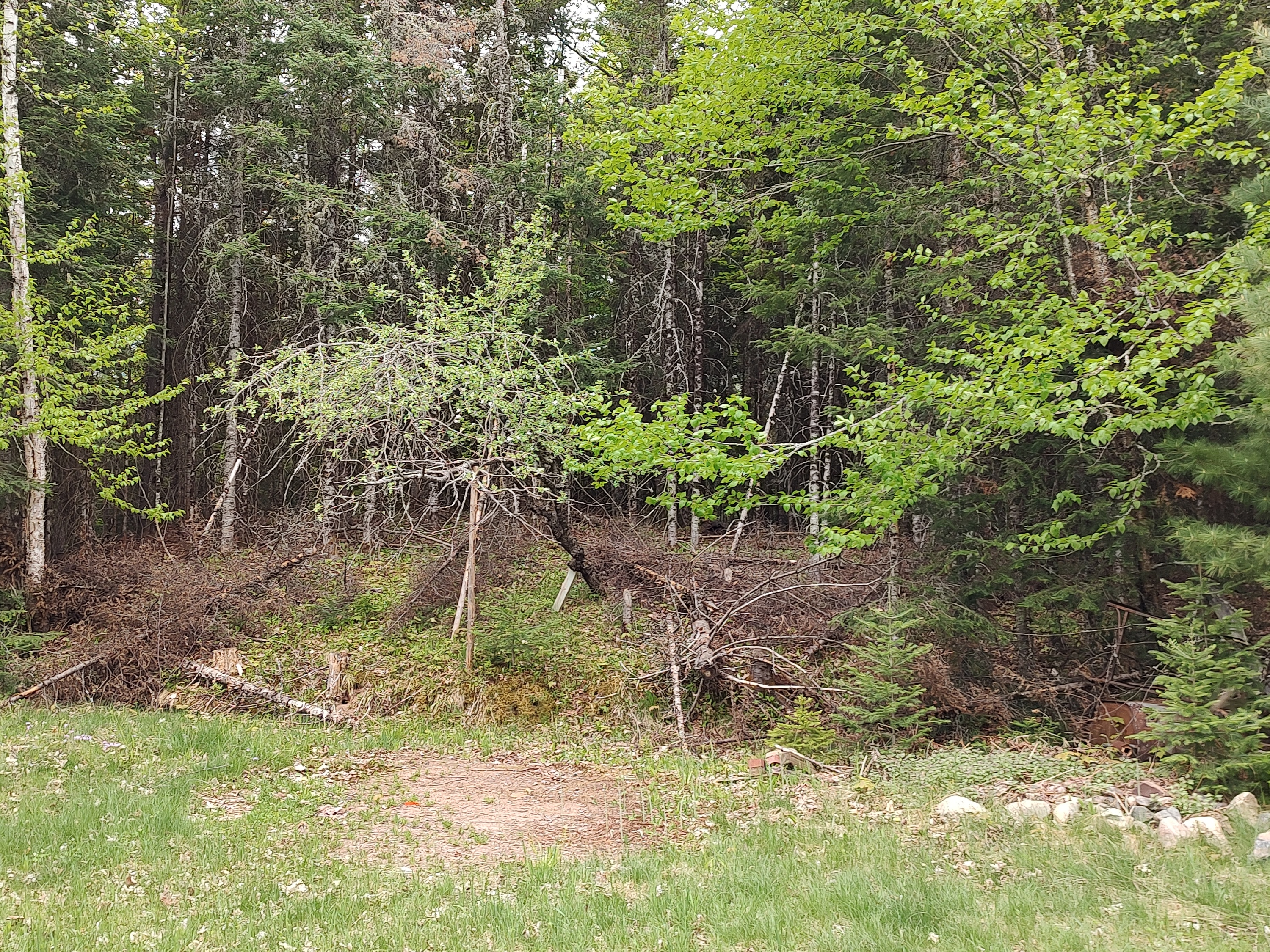 U.P. Robinson Lake Parcel 50167828