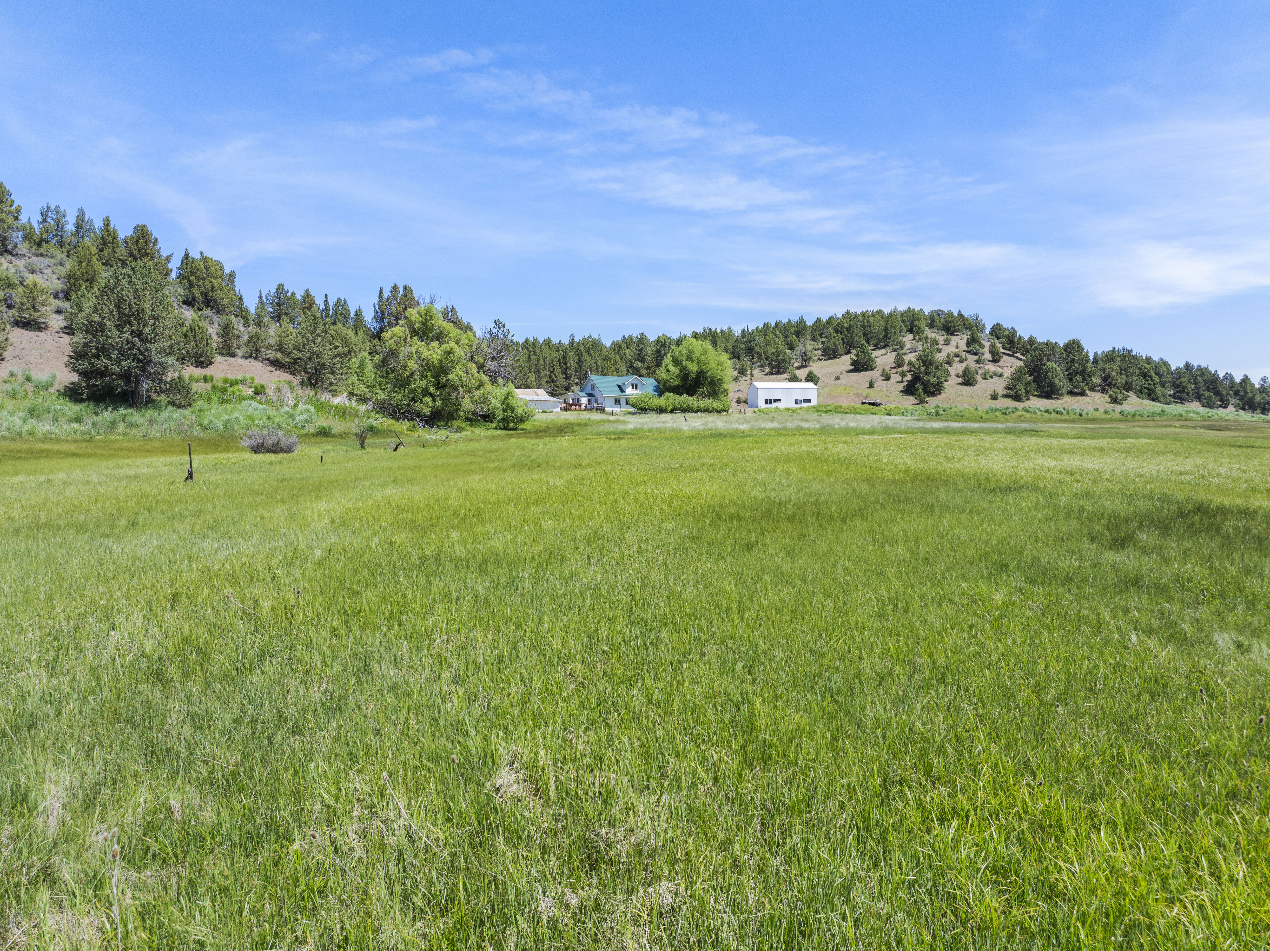 Listing Image 37
