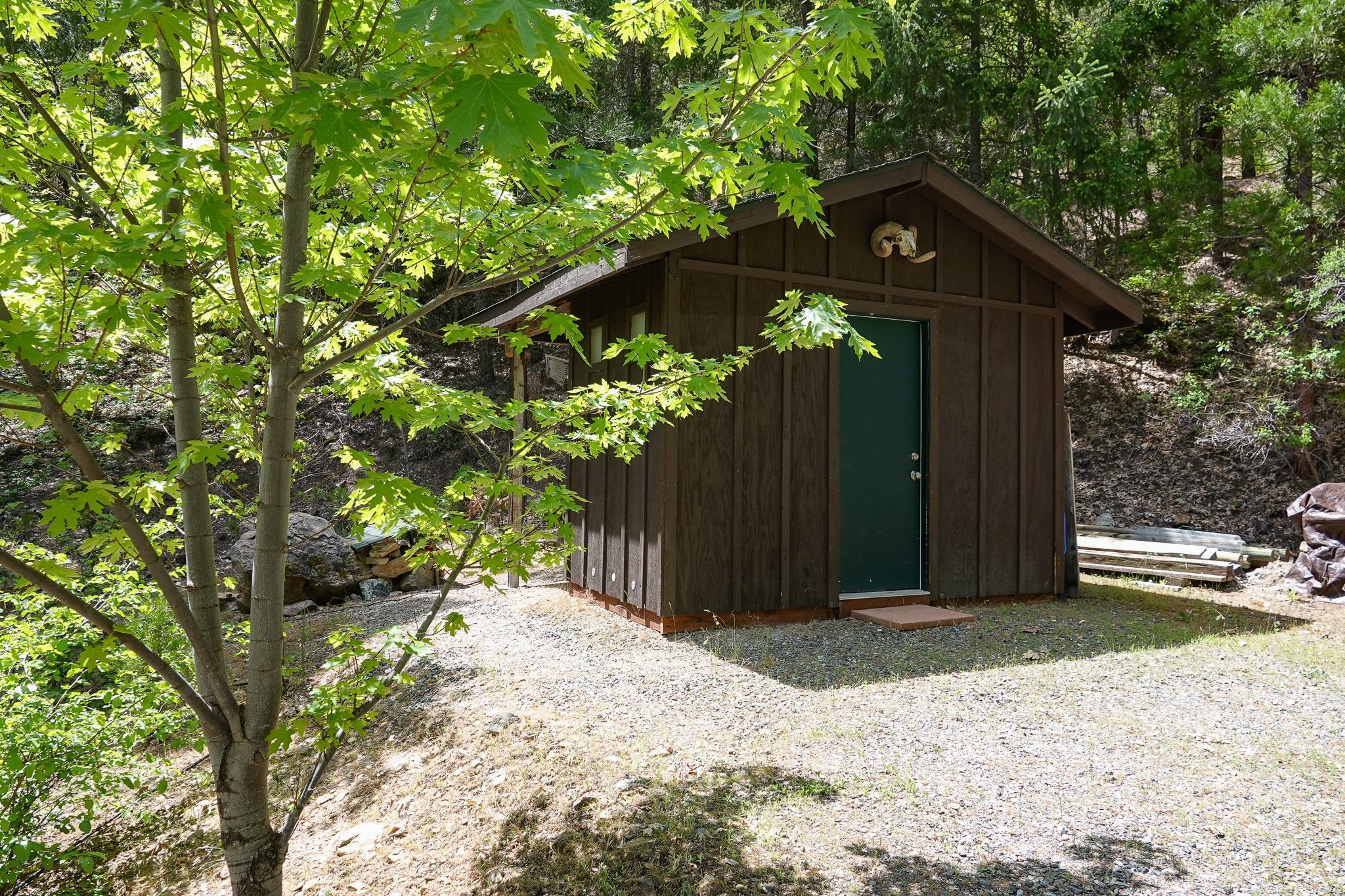 Scott River Cabin