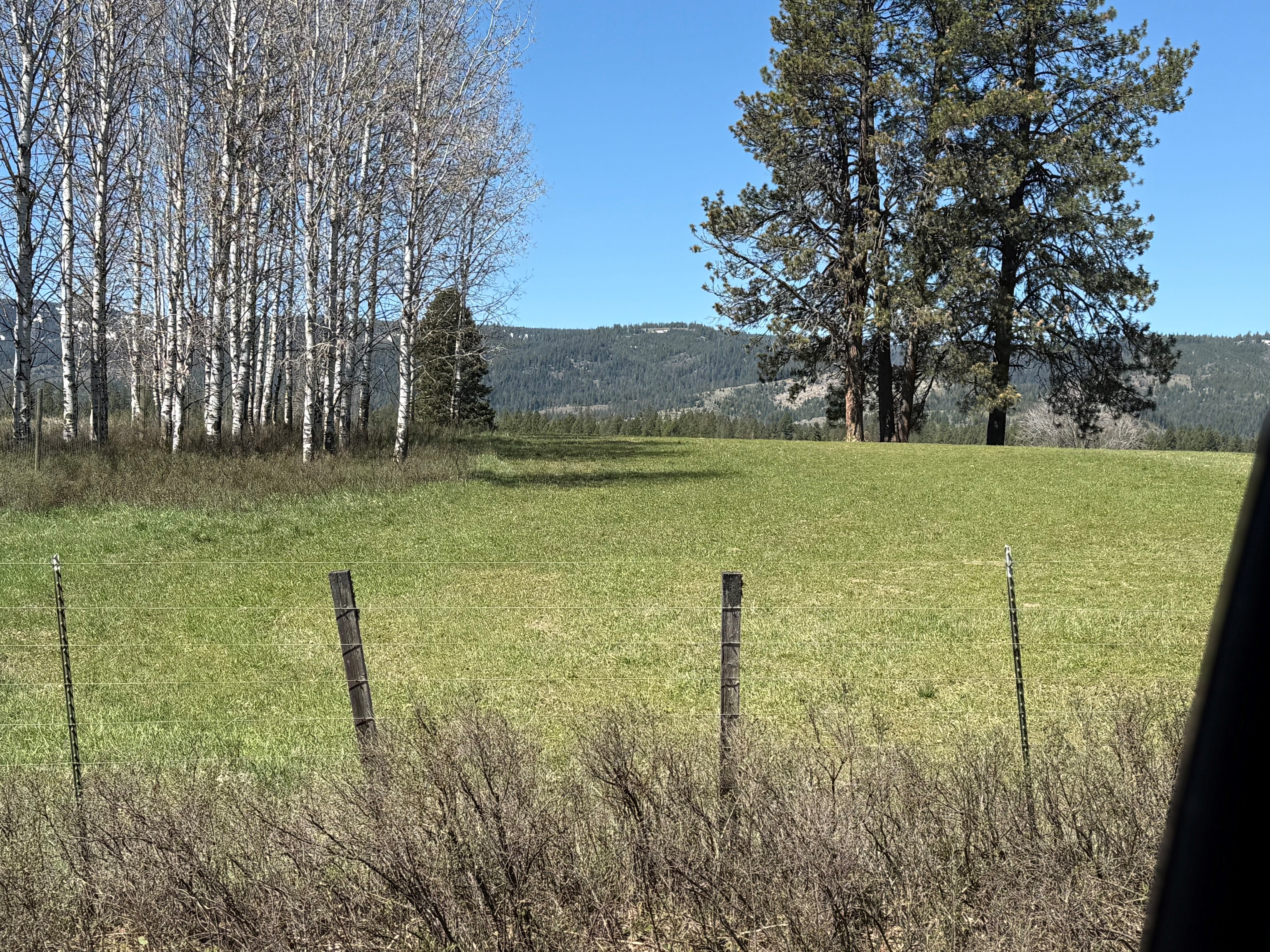 Cattle ranch/Hobby farm