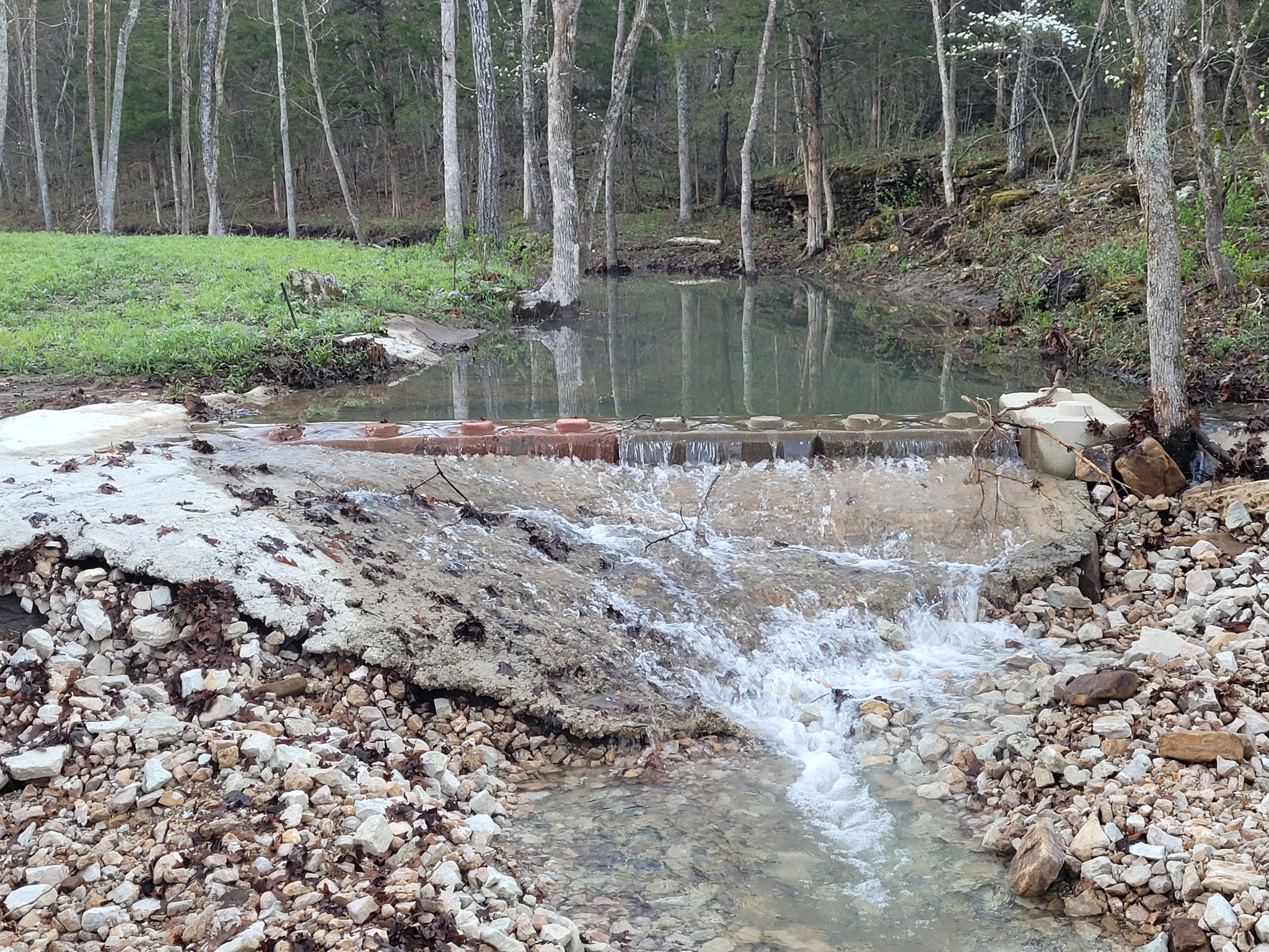 Curly Holt Camp at Peterball Spring
