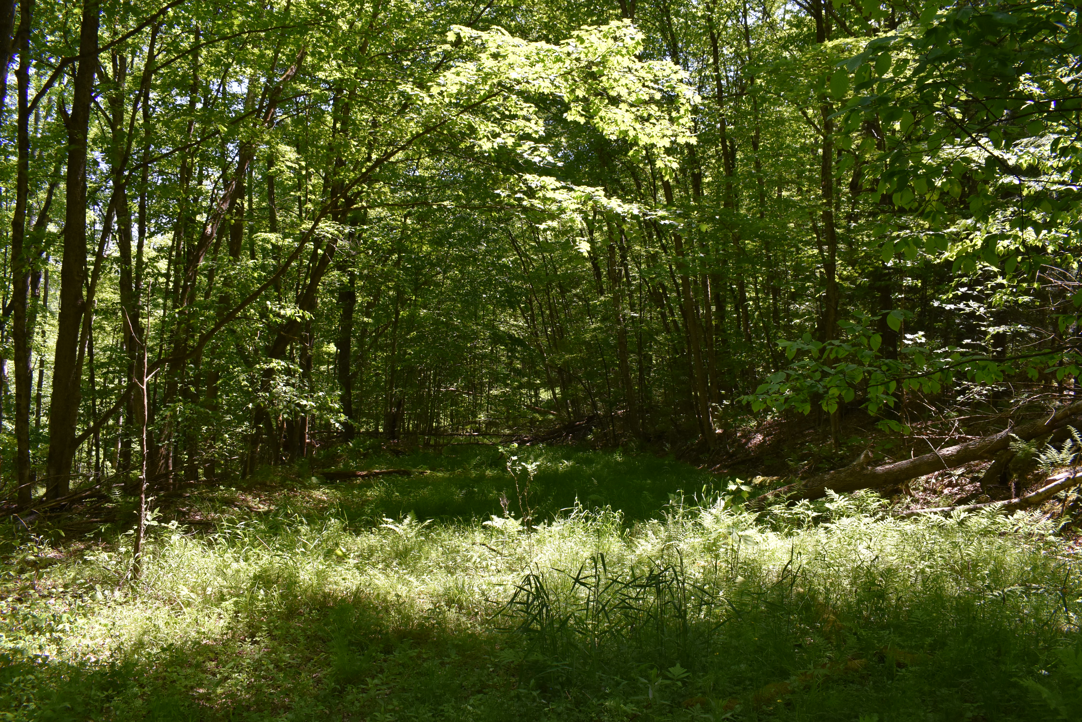 Listing Image 33