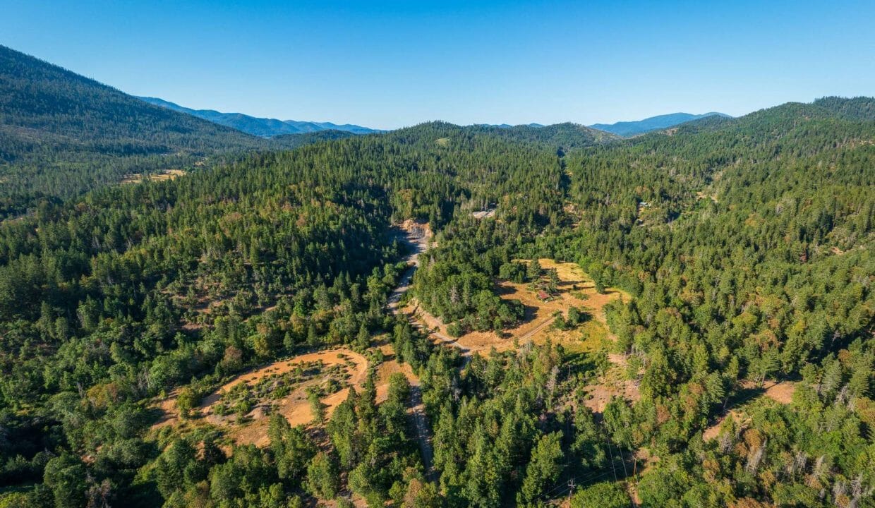 Sauer's Flat Farm & Ranch