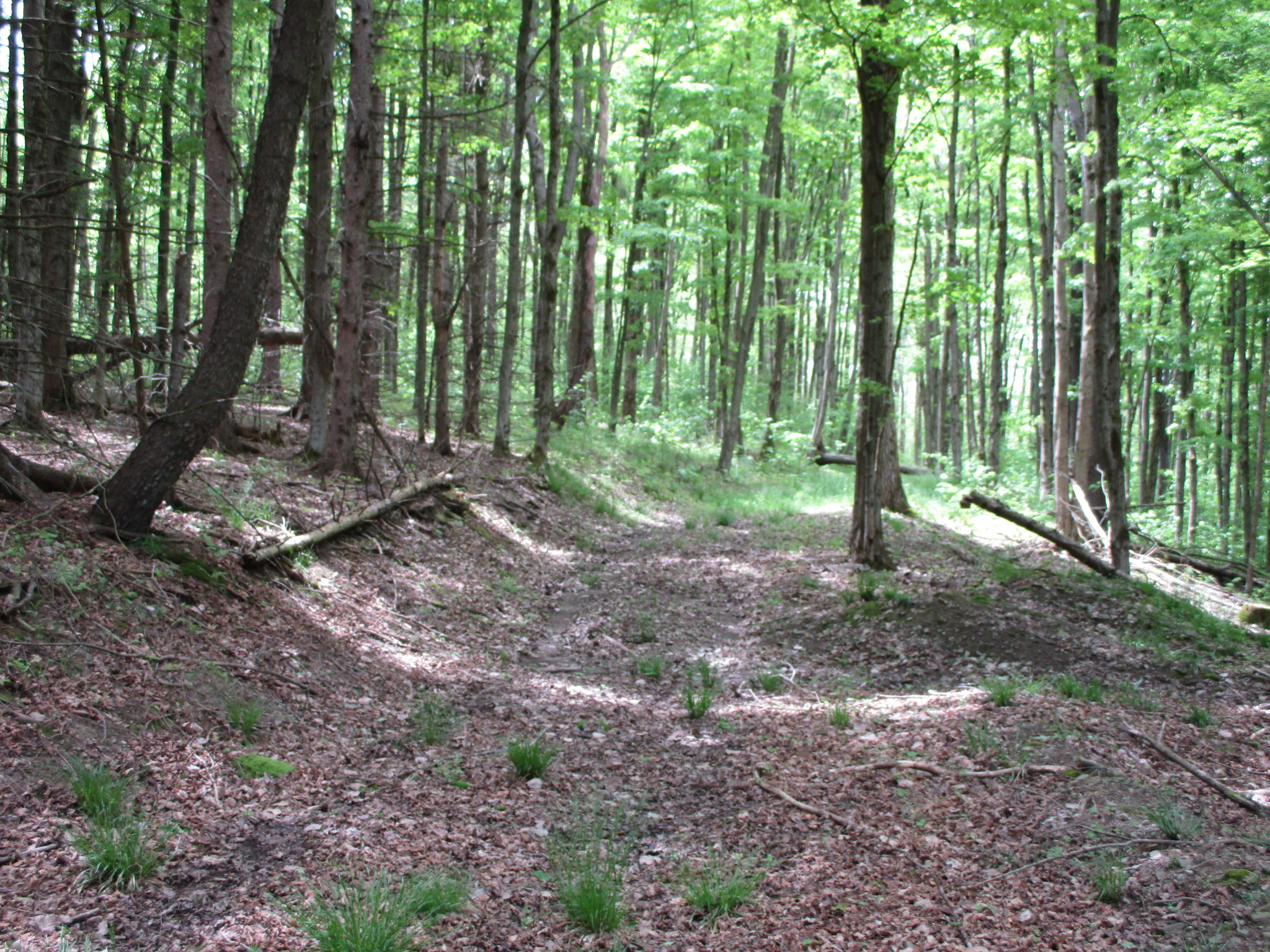 Legacy Land and Cabin