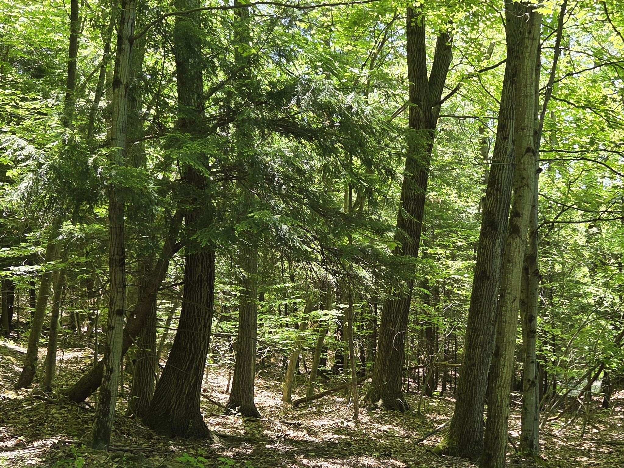 Listing Image 33