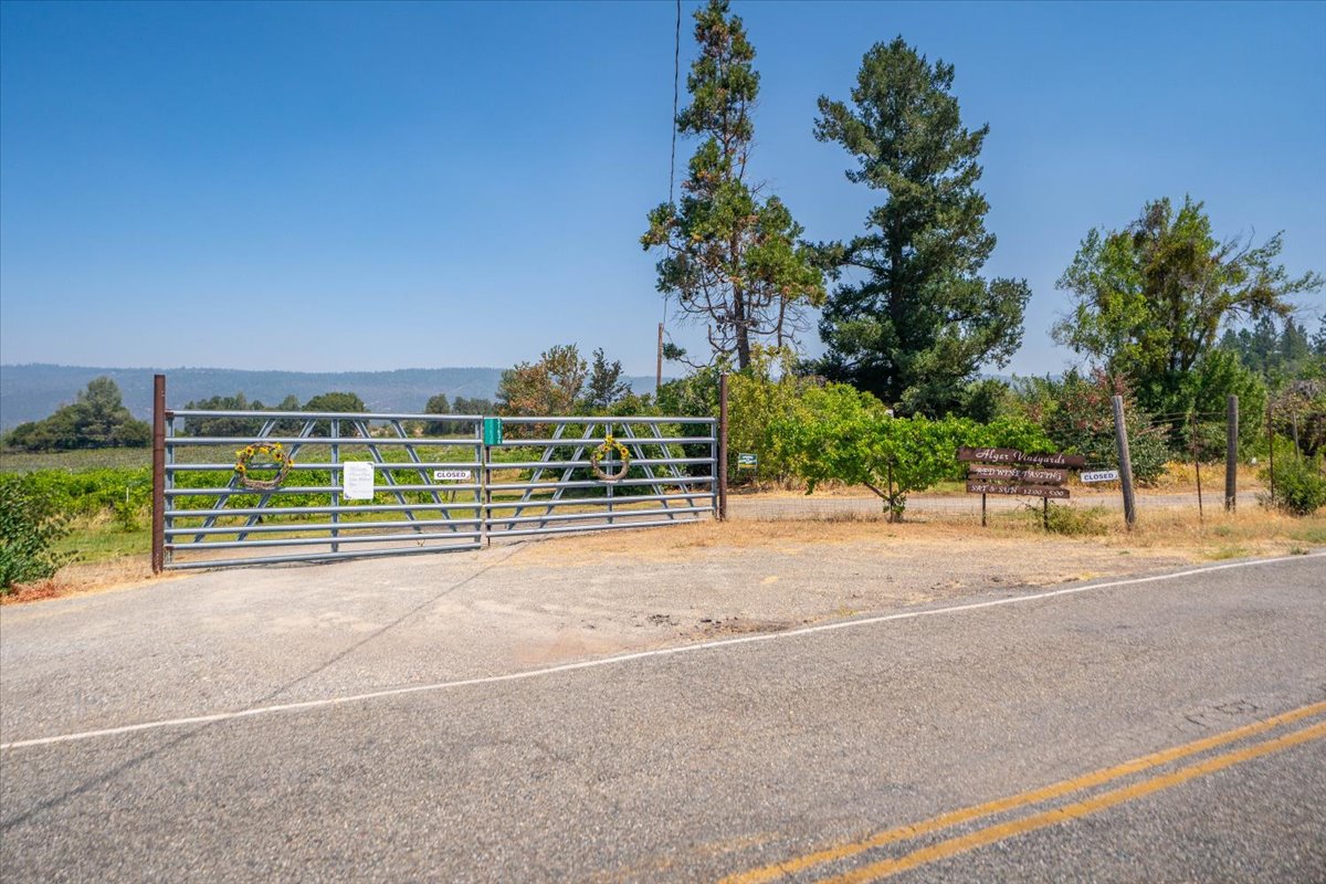 Alger Vineyards and More