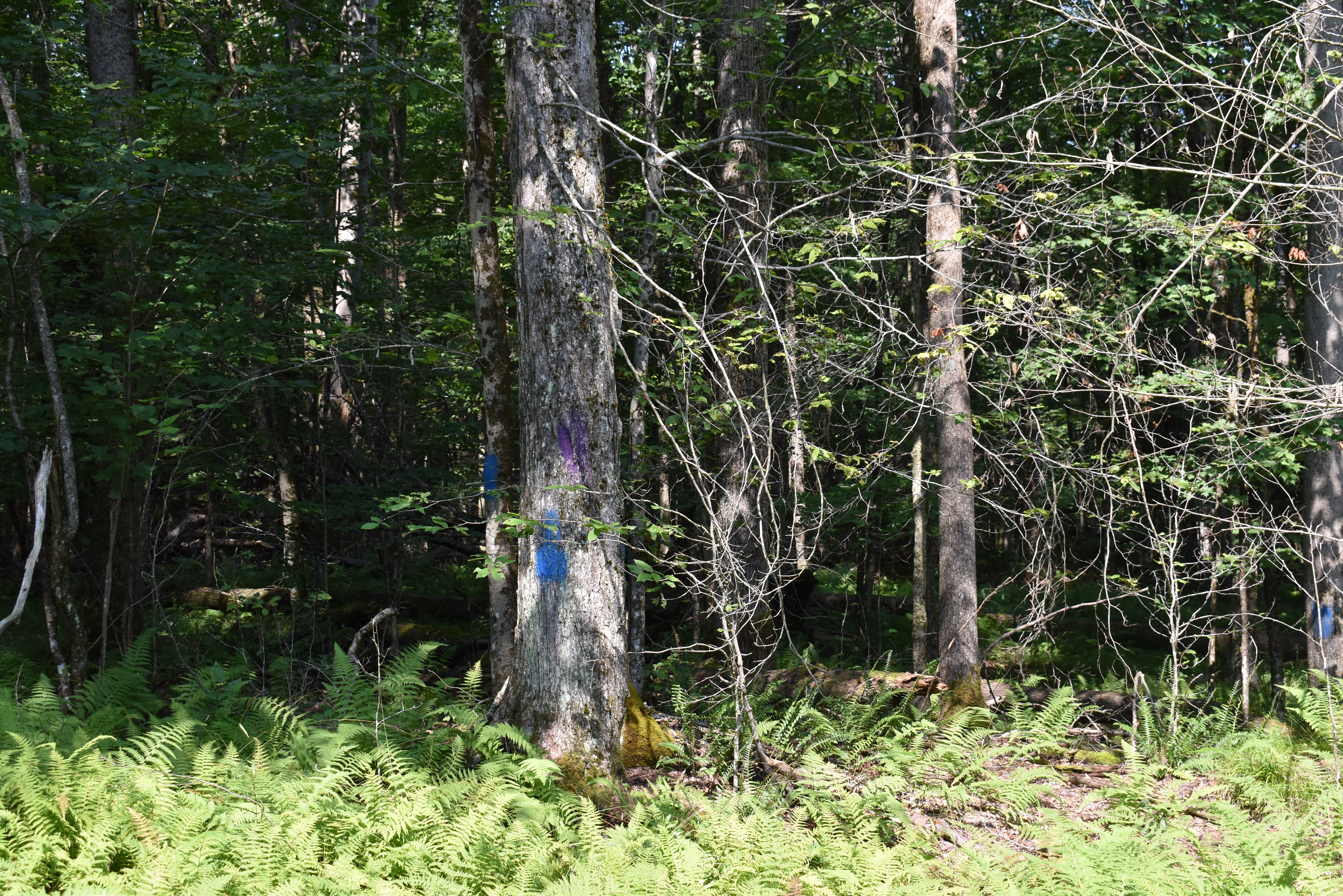 Listing Image 24