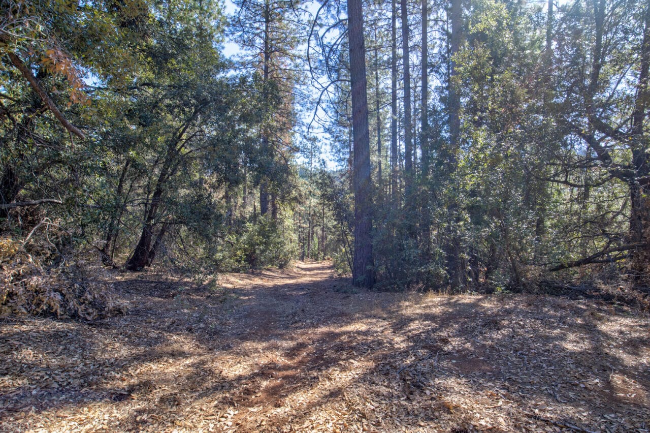 Listing Image 49