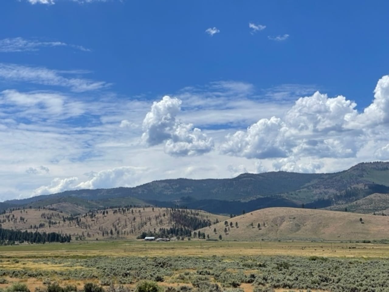 Listing Image 38