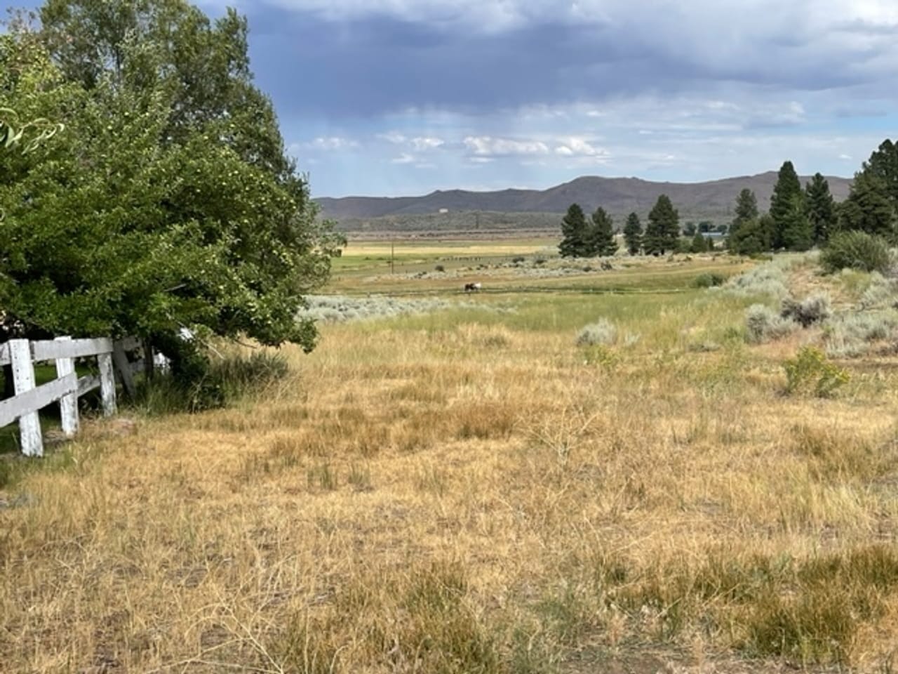 Listing Image 41