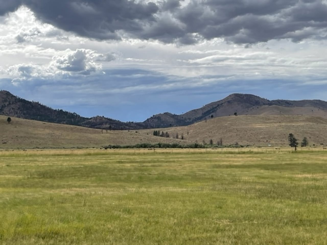 Listing Image 42