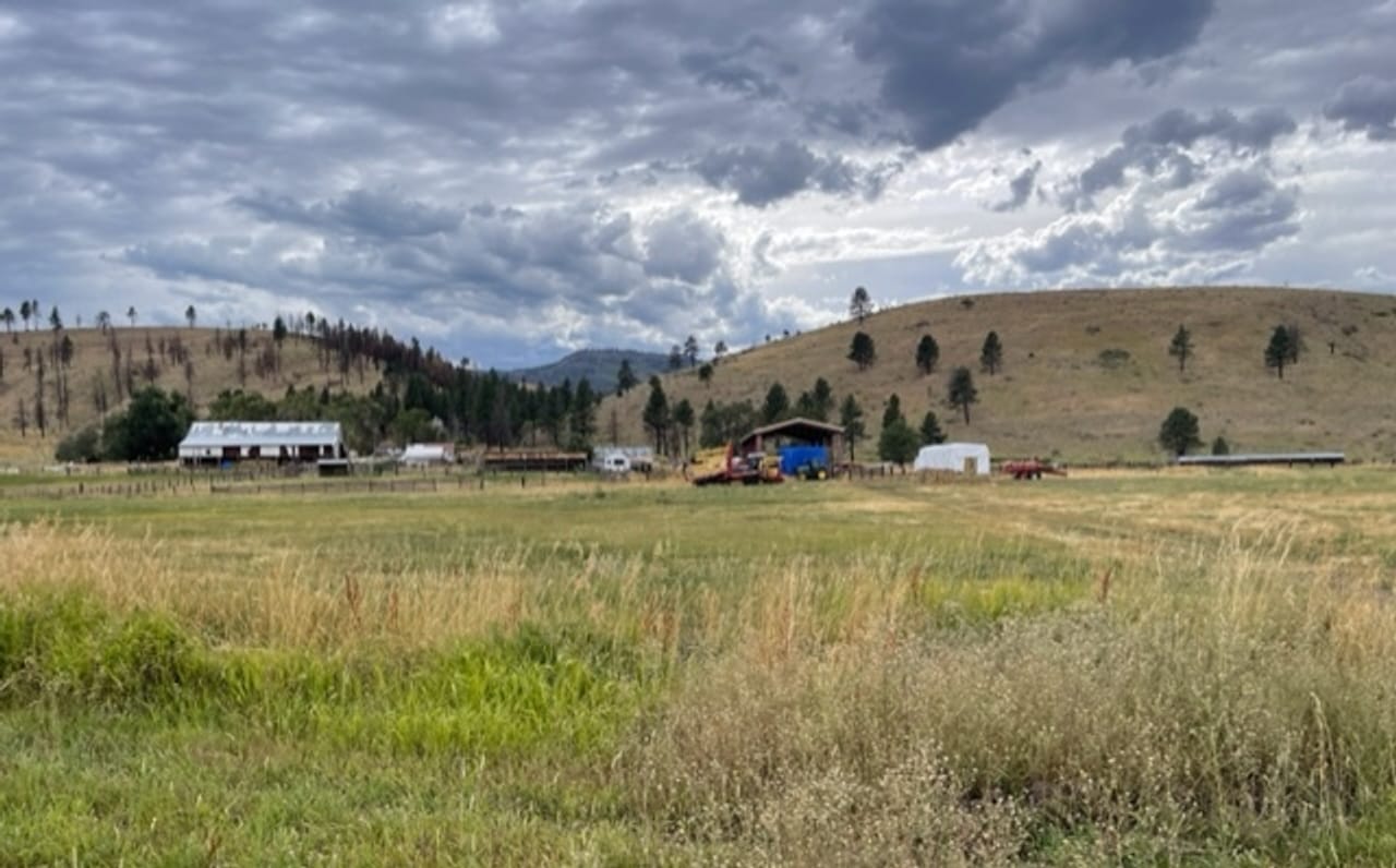 Listing Image 43