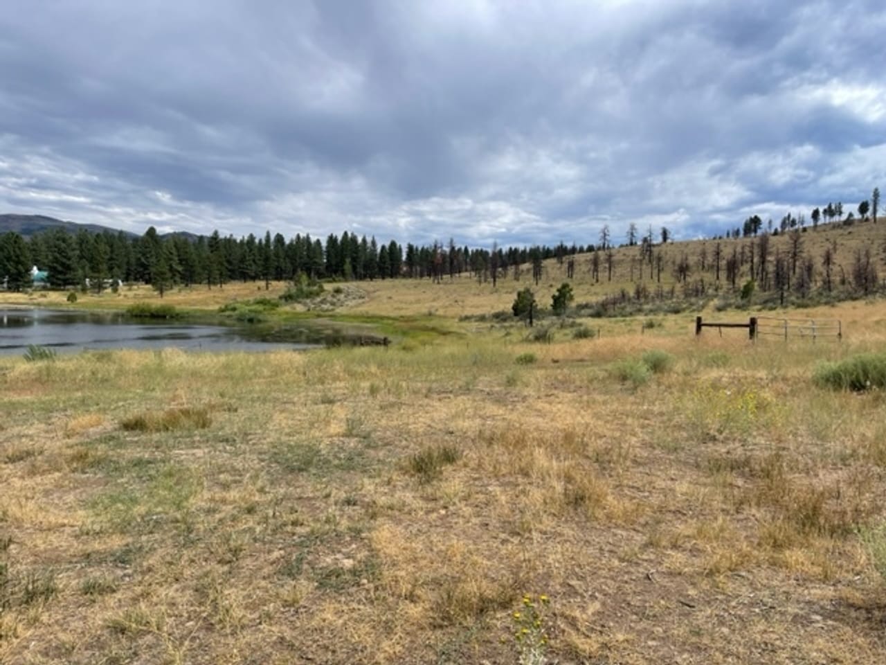 Listing Image 51