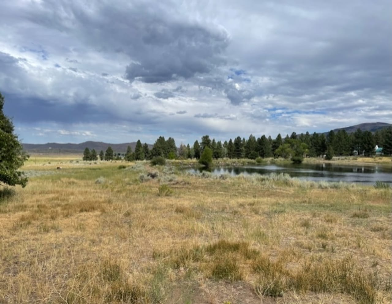 Listing Image 39