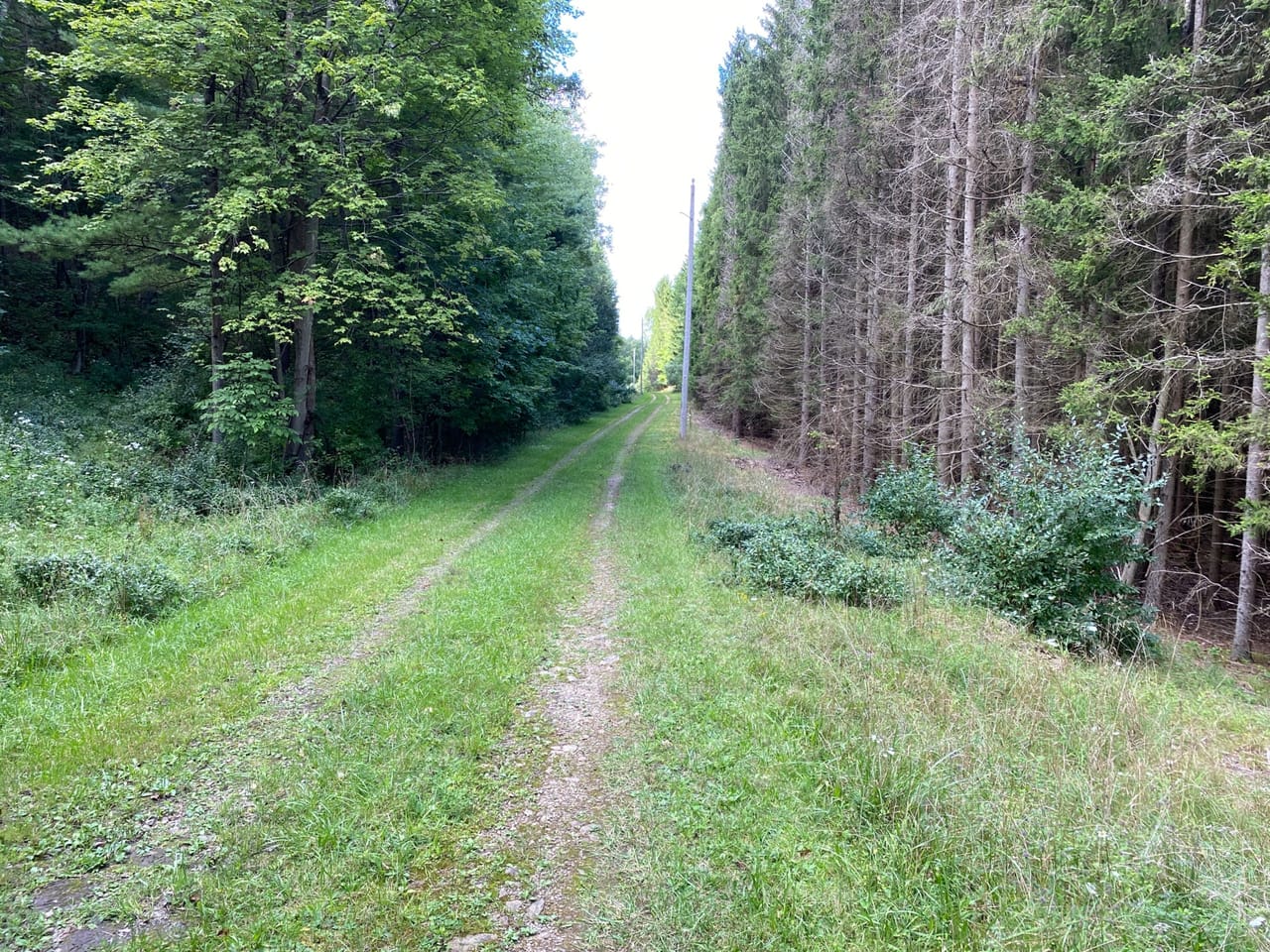 Listing Image 41