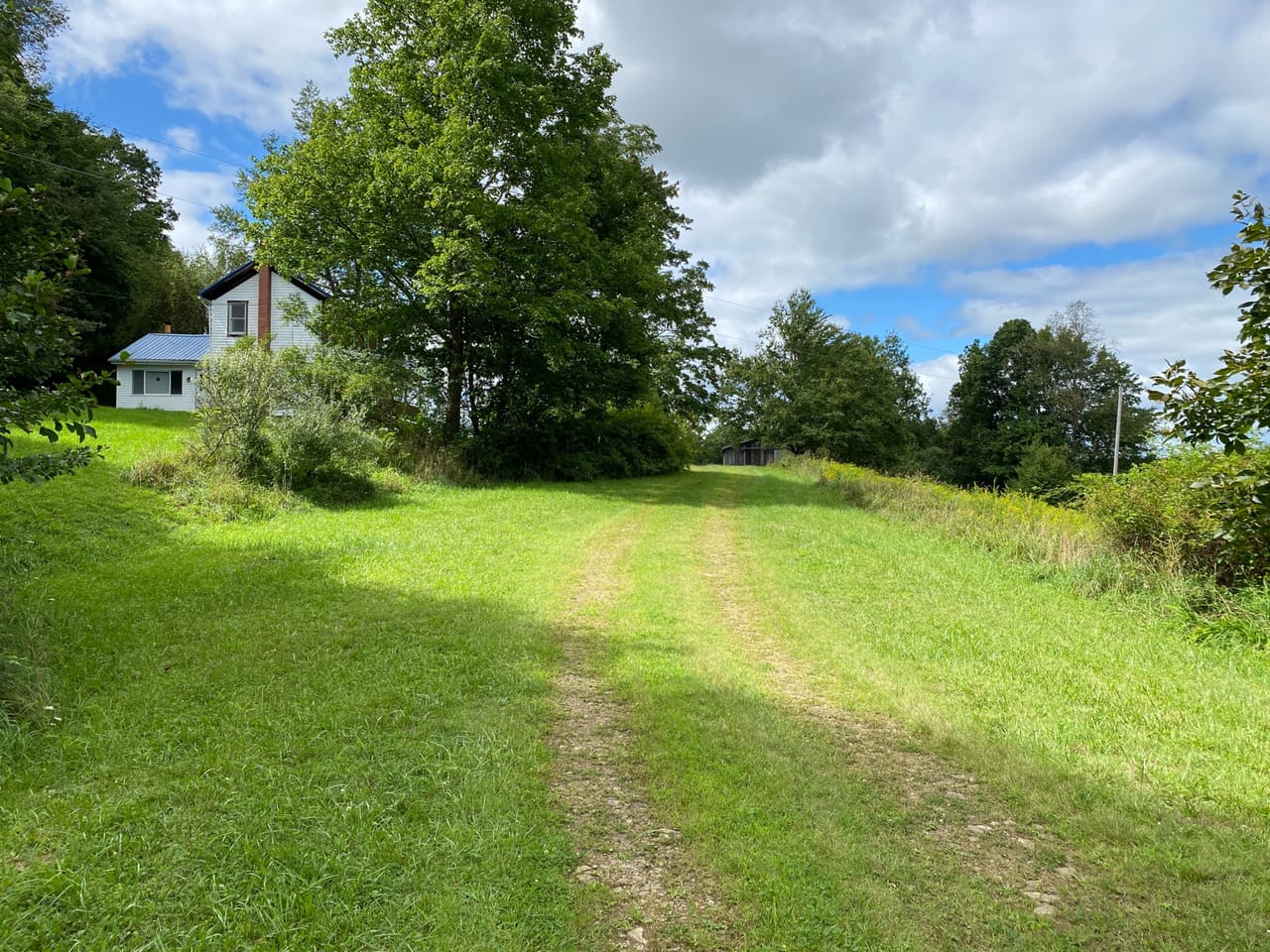 Listing Image 44