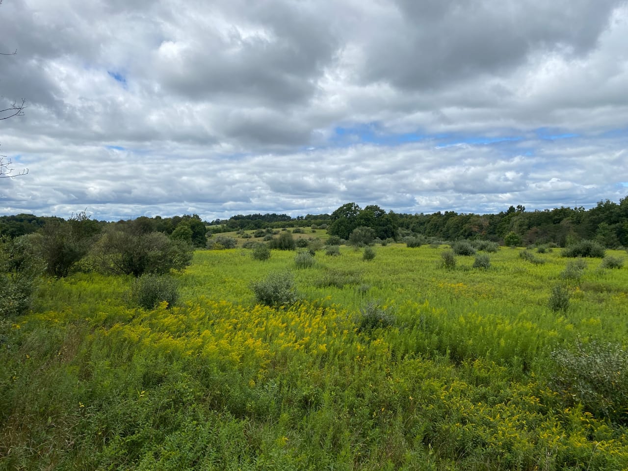 Listing Image 17