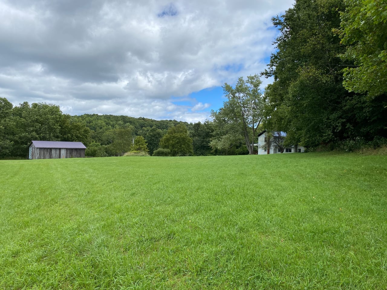 Listing Image 62