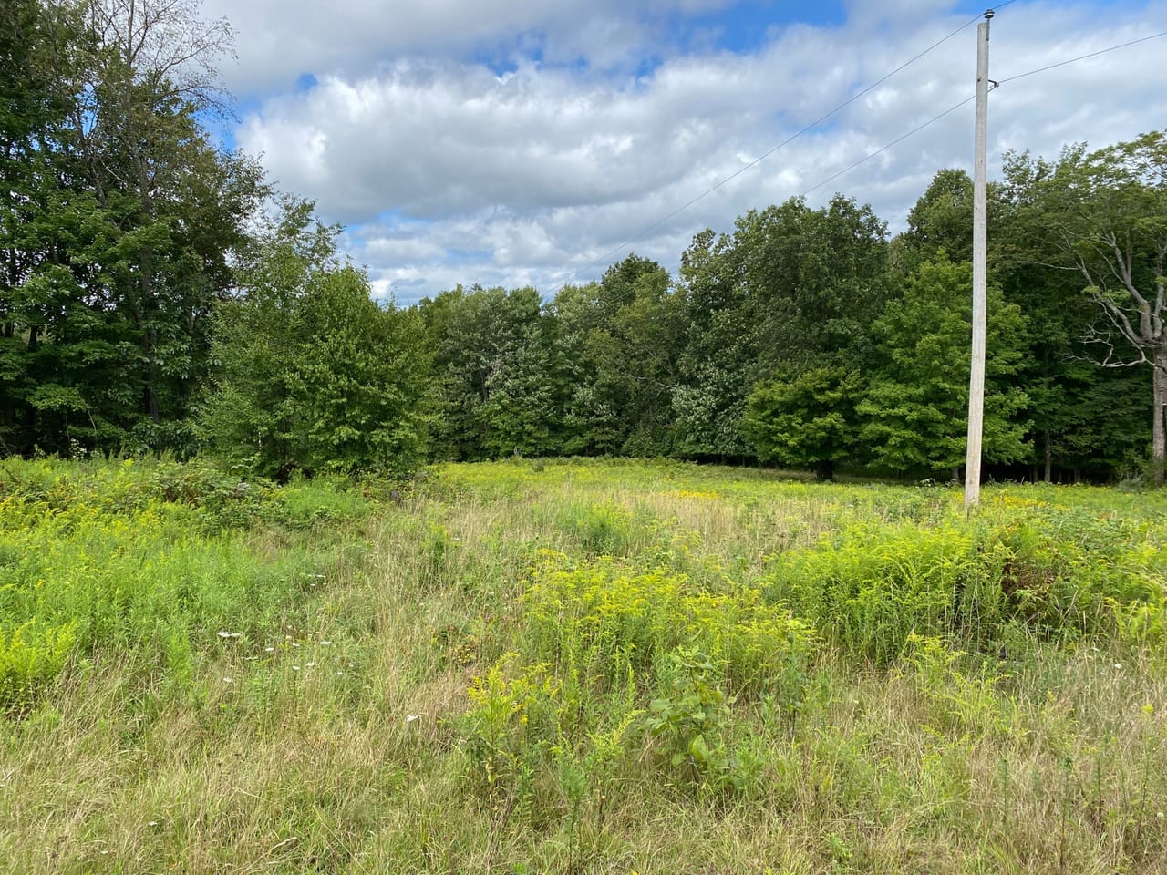 Listing Image 68