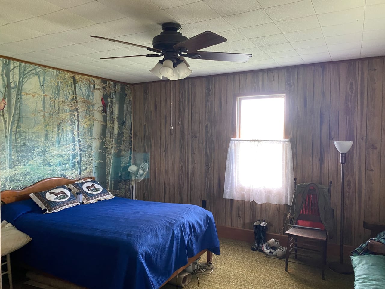 Listing Image 79