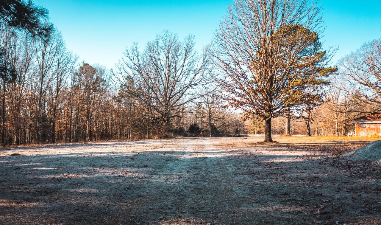 Listing Image 1
