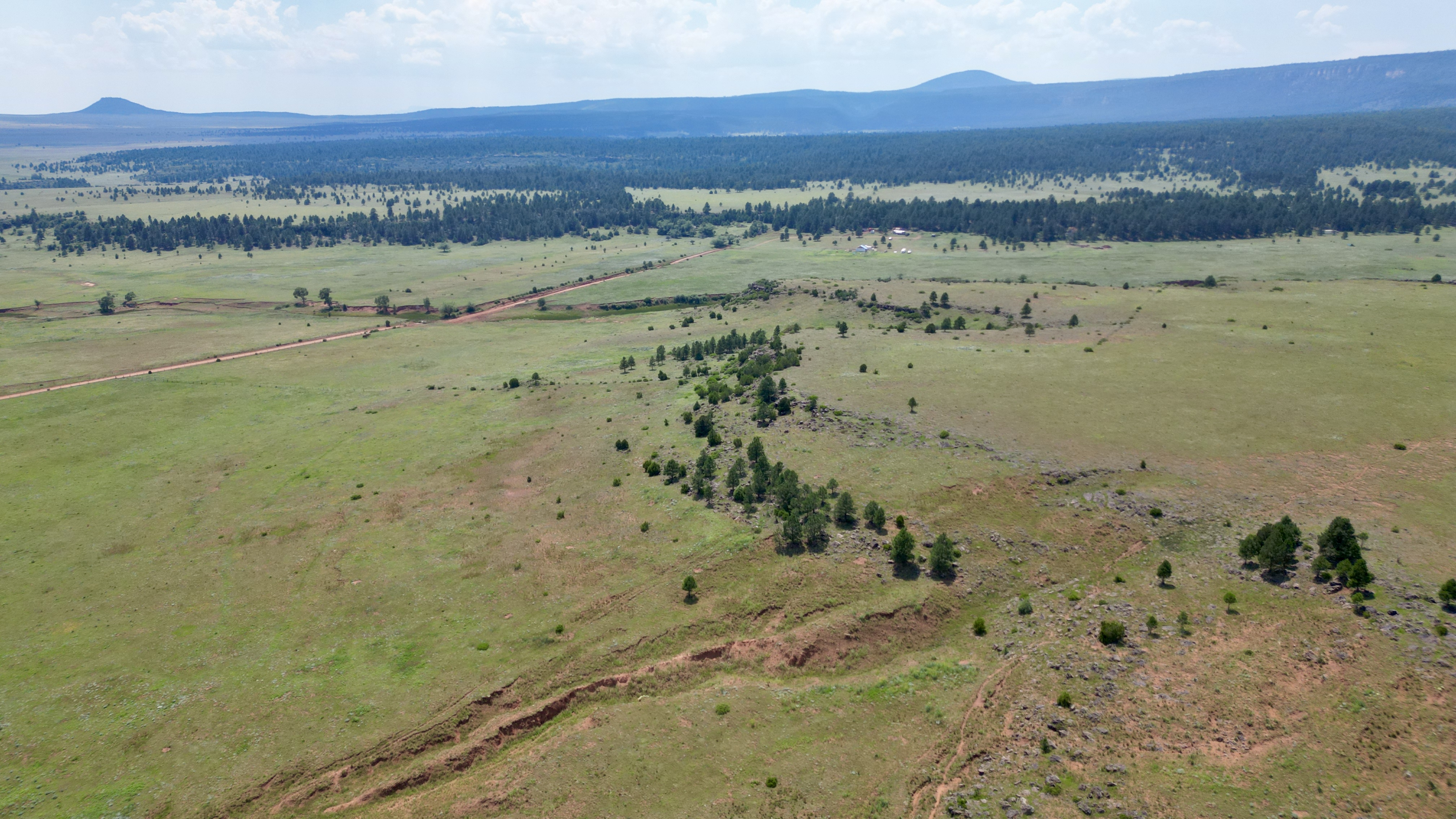 OLC Ranch