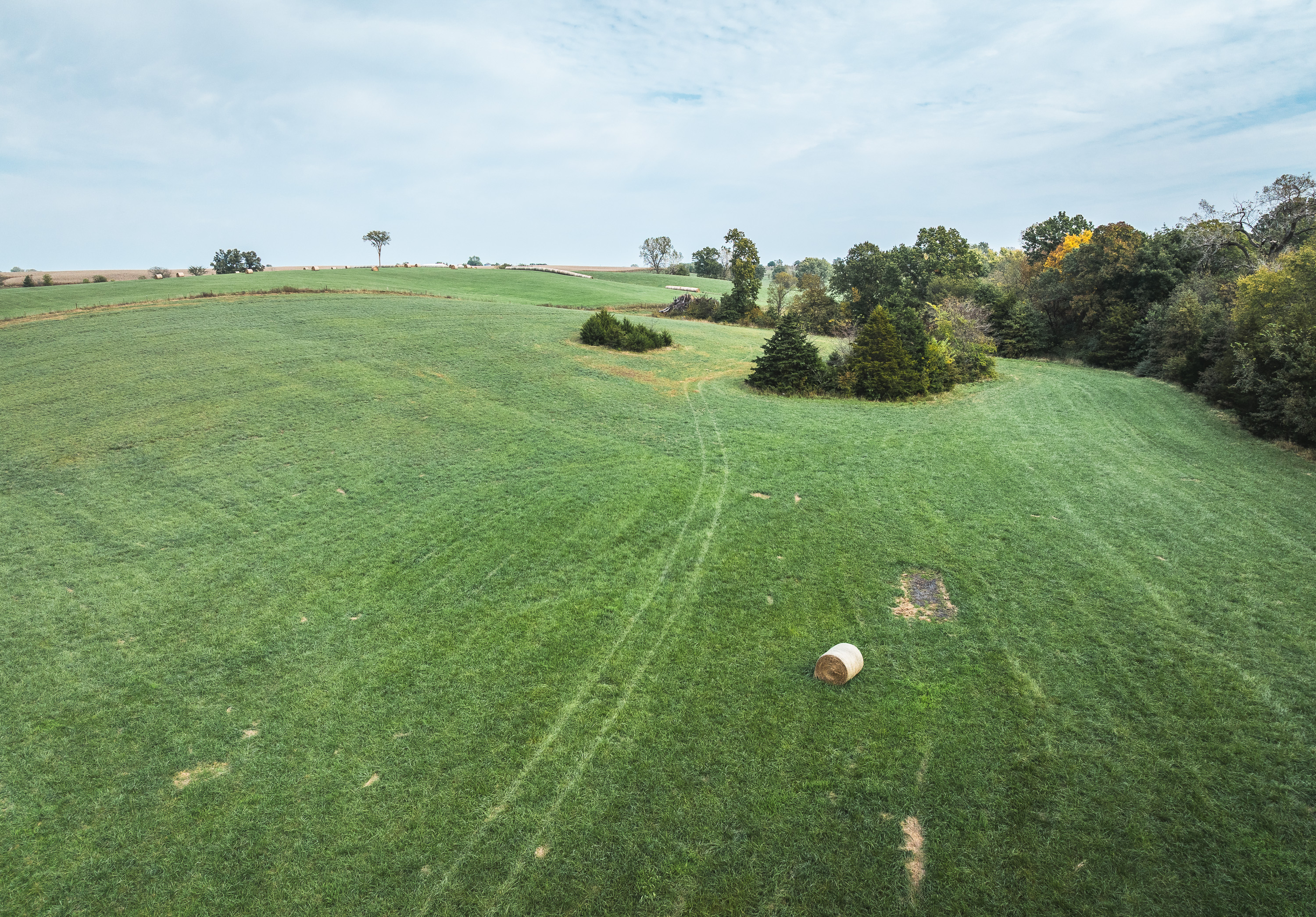 Listing Image 46